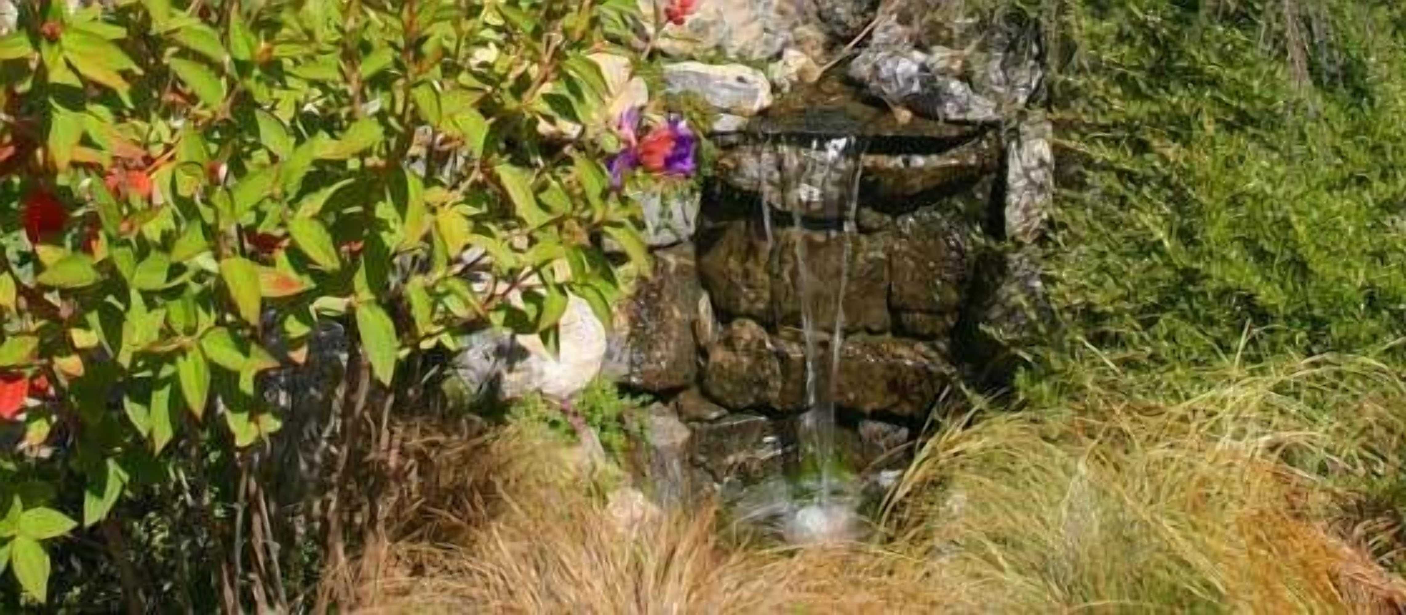 Gift card for Joya Garden & Villa Studios Gift card for Joya Garden & Villa Studios