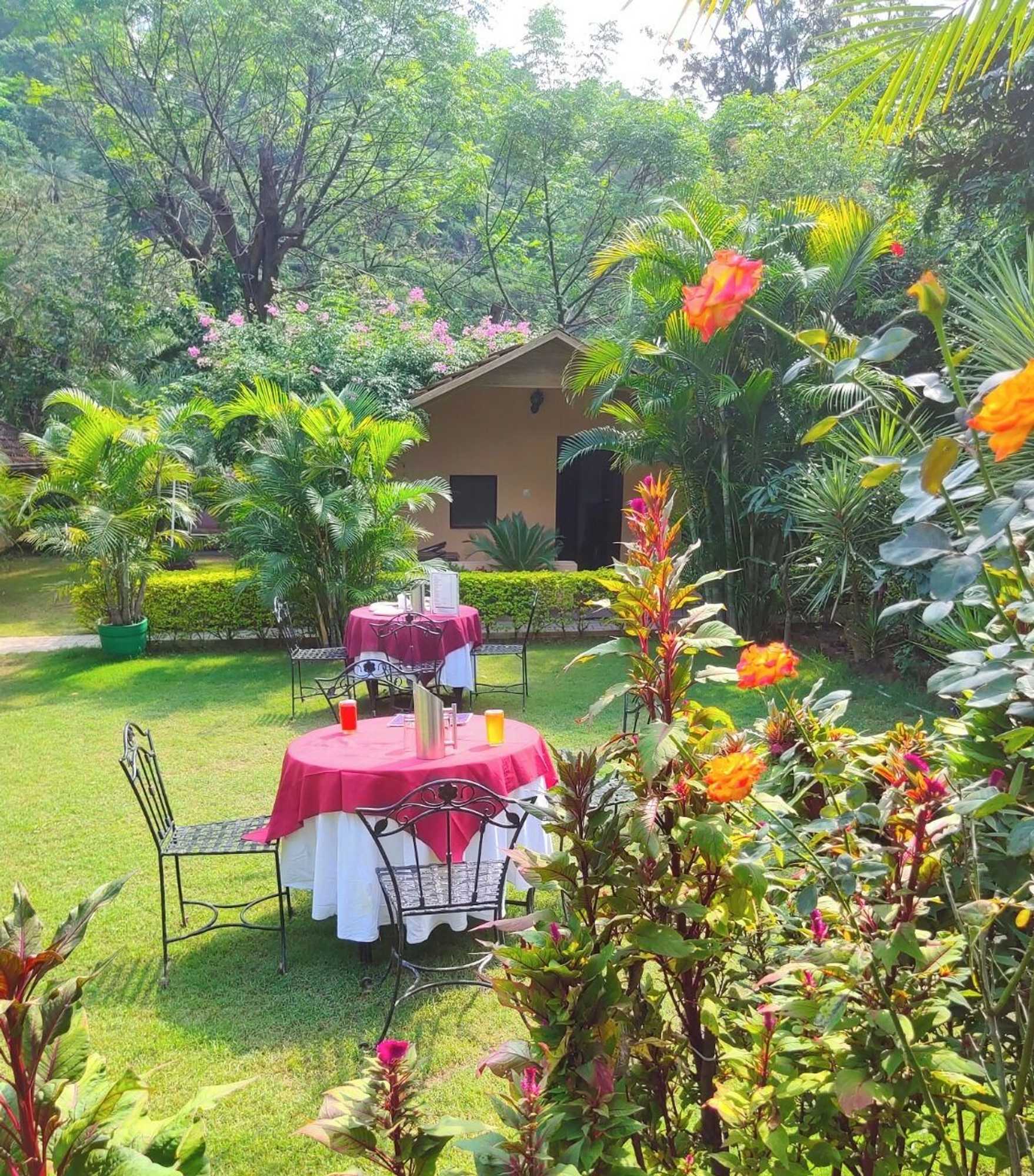 Gift card for Hill 'n' You - A Boutique Garden Resort Gift card for Hill 'n' You - A Boutique Garden Resort