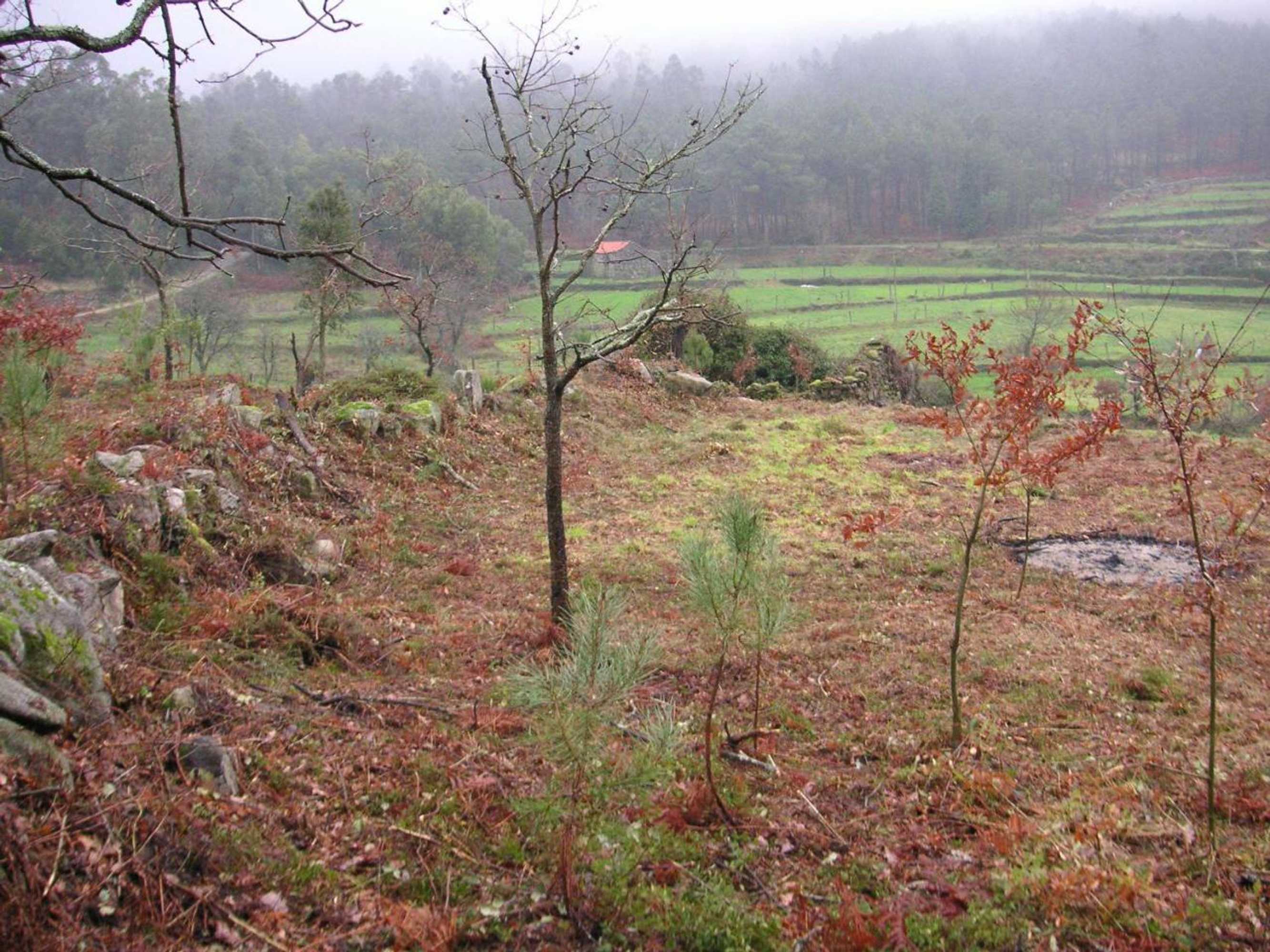 Gift card for Quinta Porto Dos Lobos