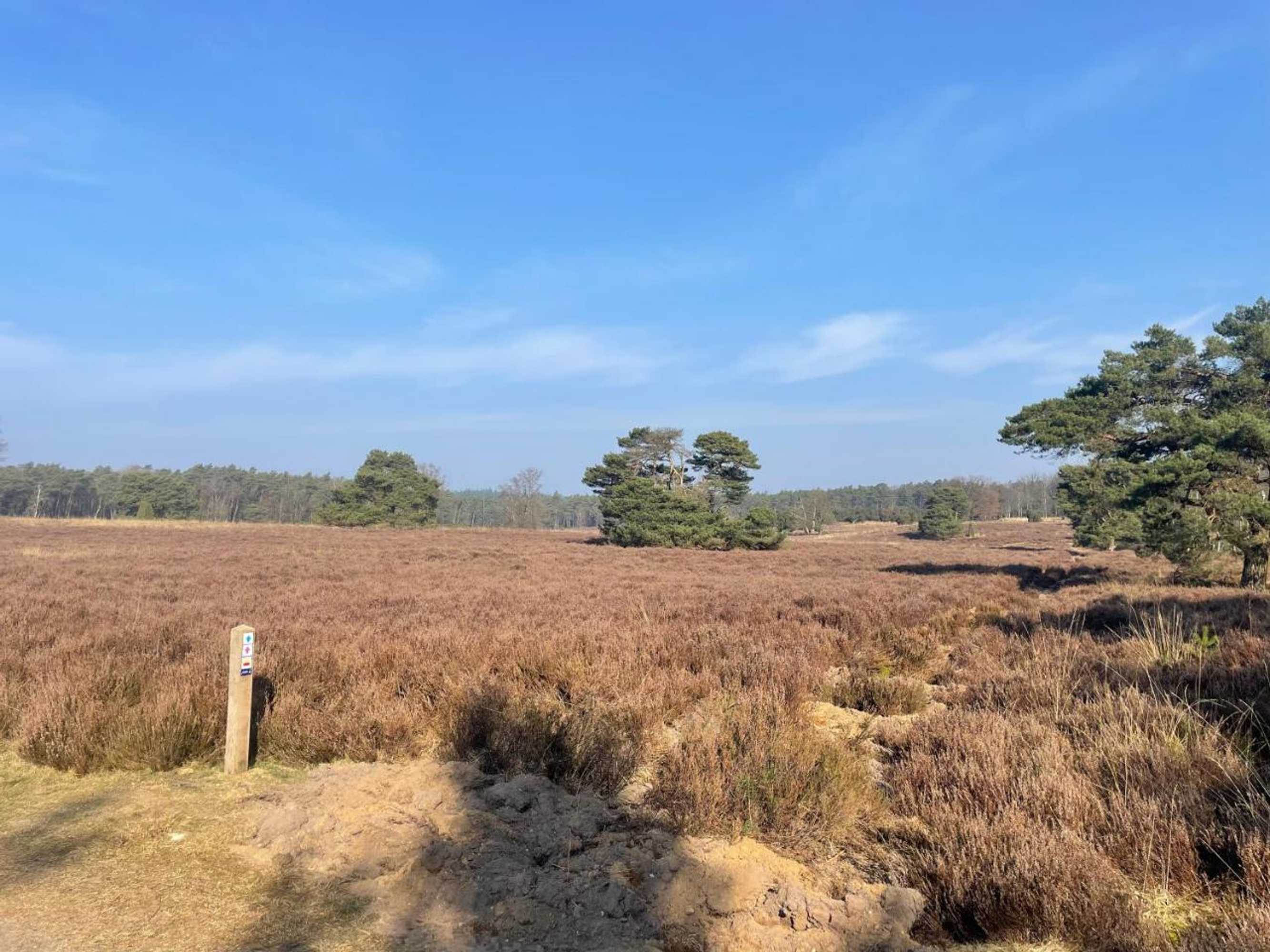 Gift card for B&b Oud-Zilven