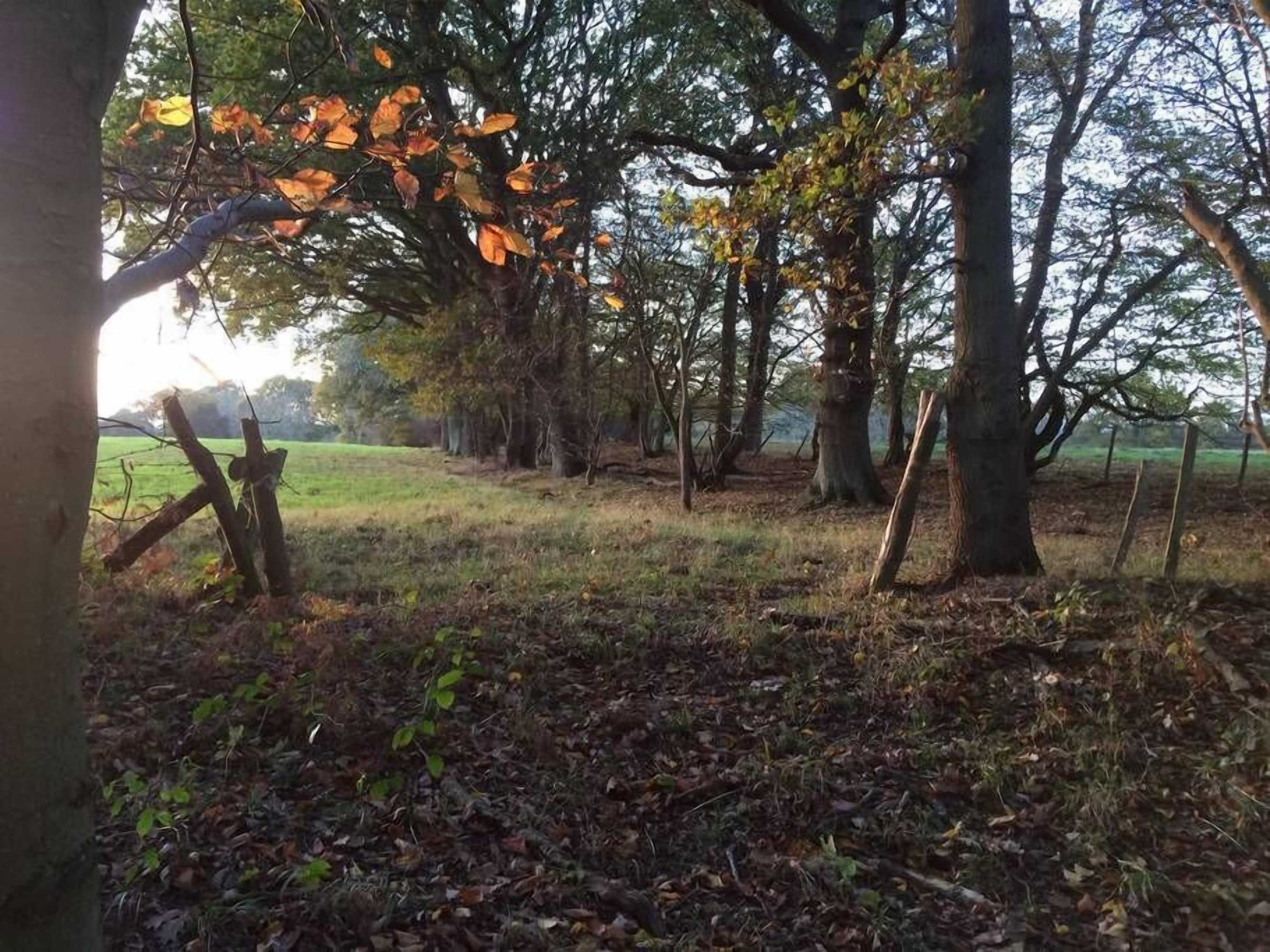 Gift card for Oak House Farm