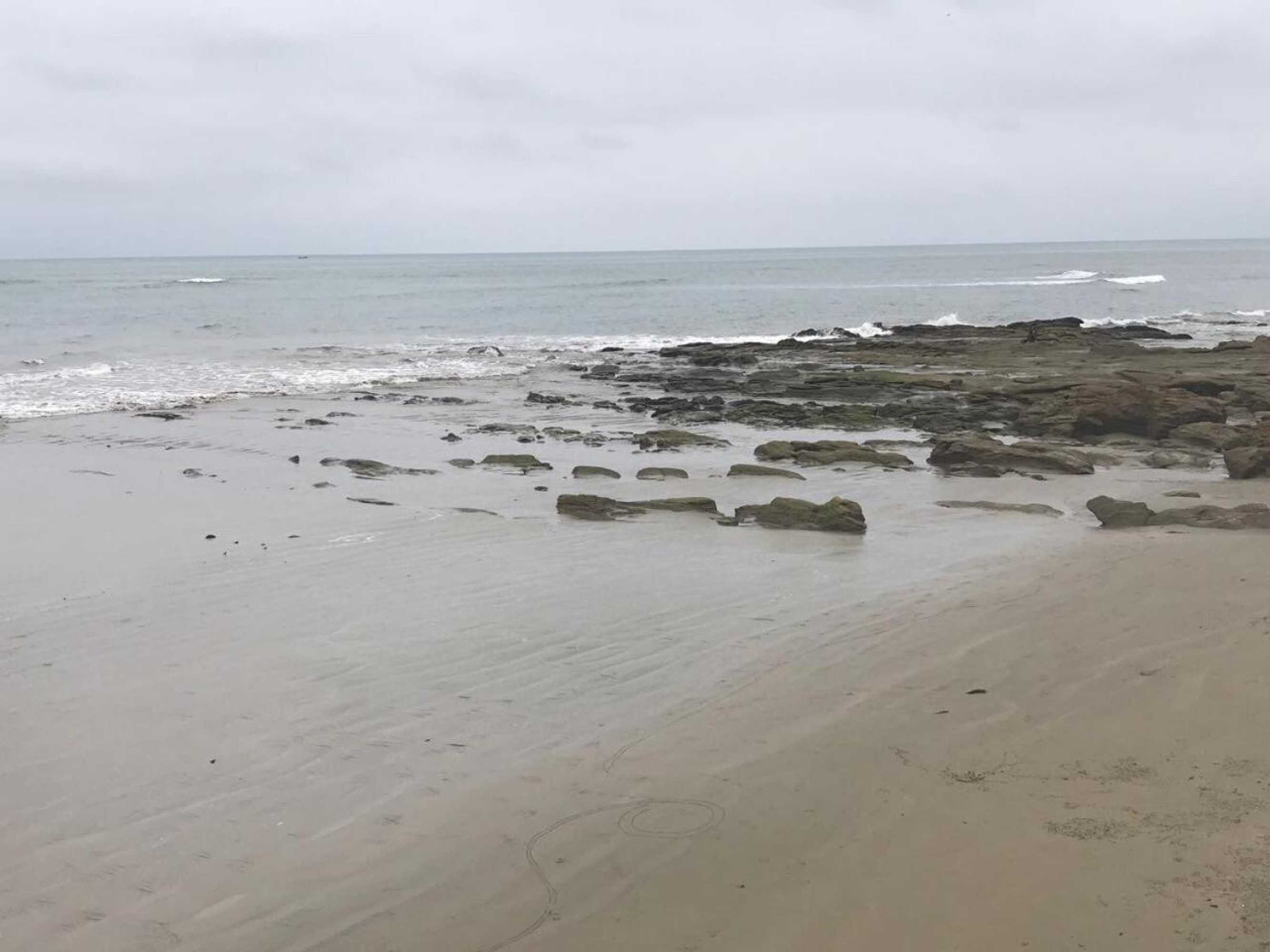 Gift card for Blackpoint