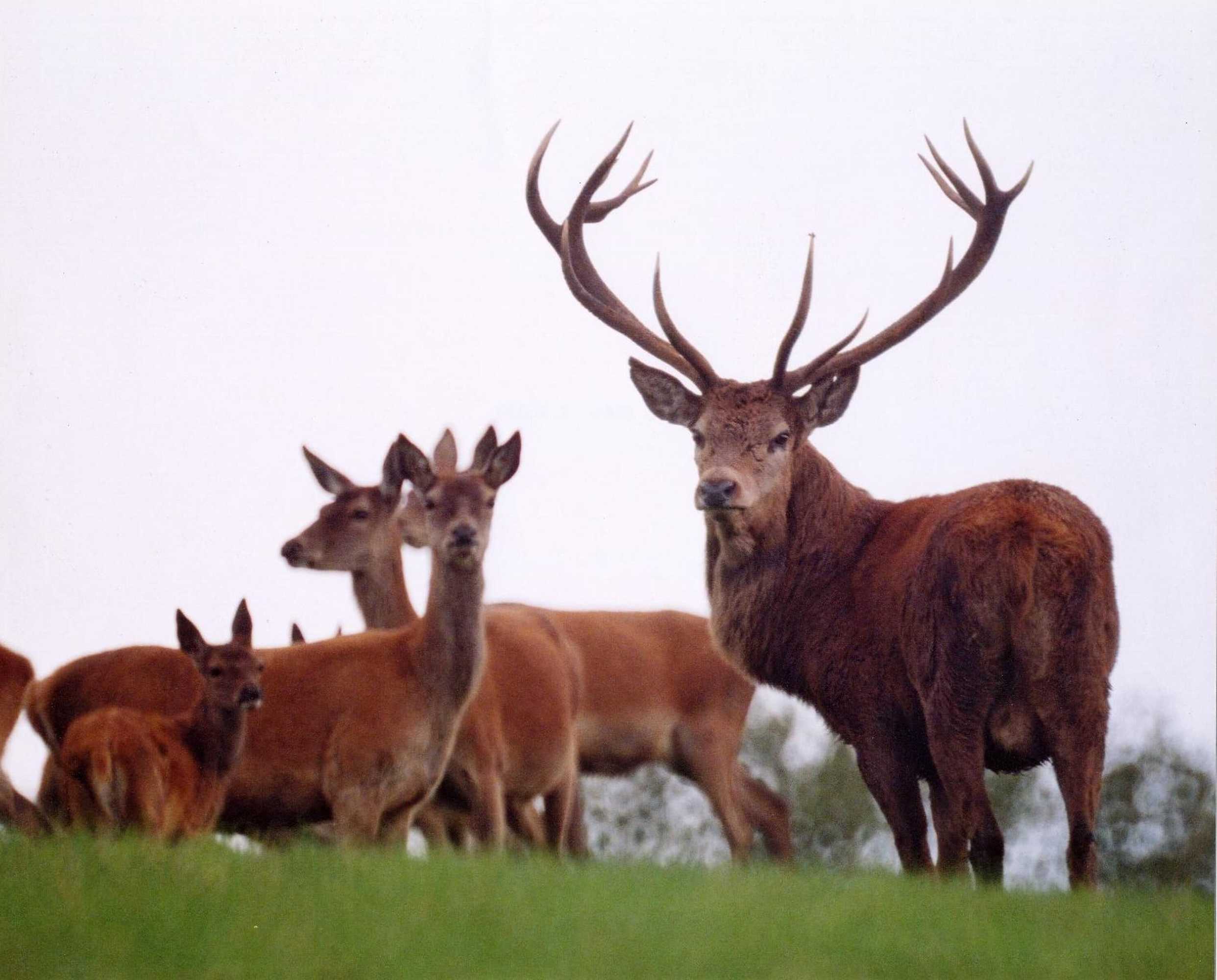 Gift card for Yarn Market Hotel