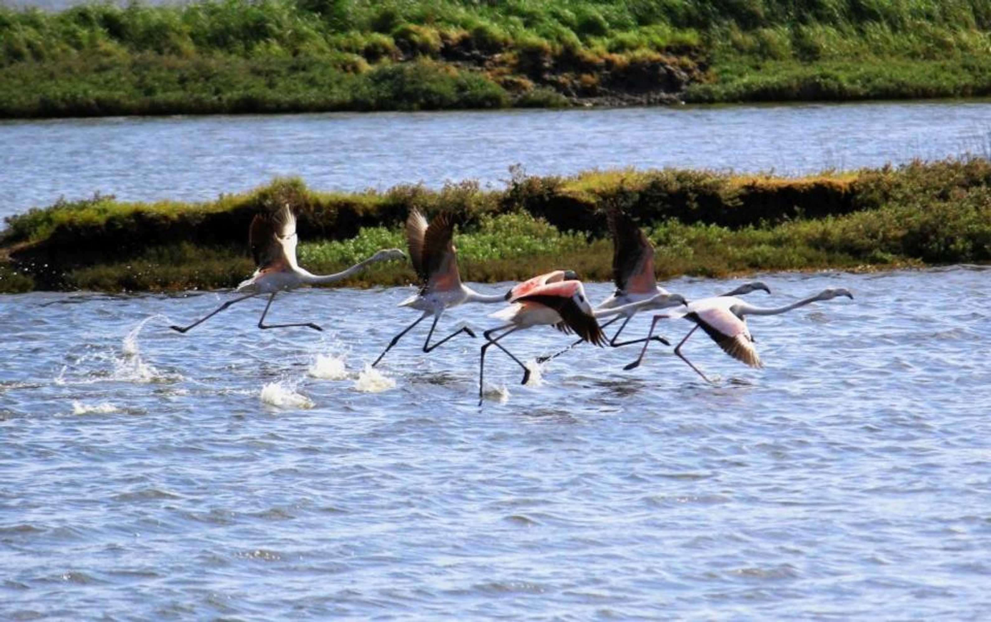 Gift card for Hotel Paraiso