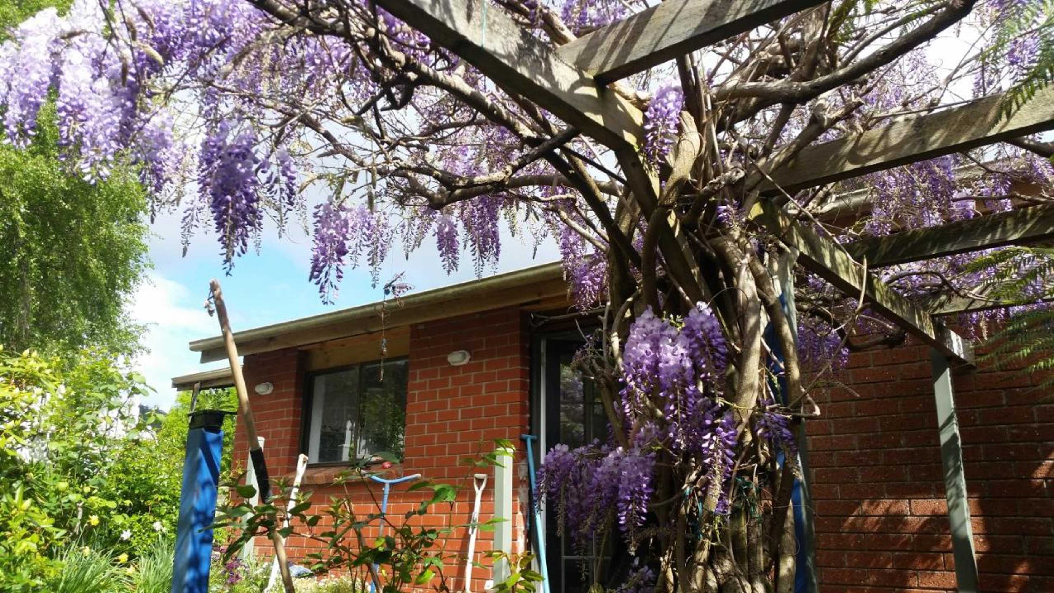 Gift card for Birch Lane