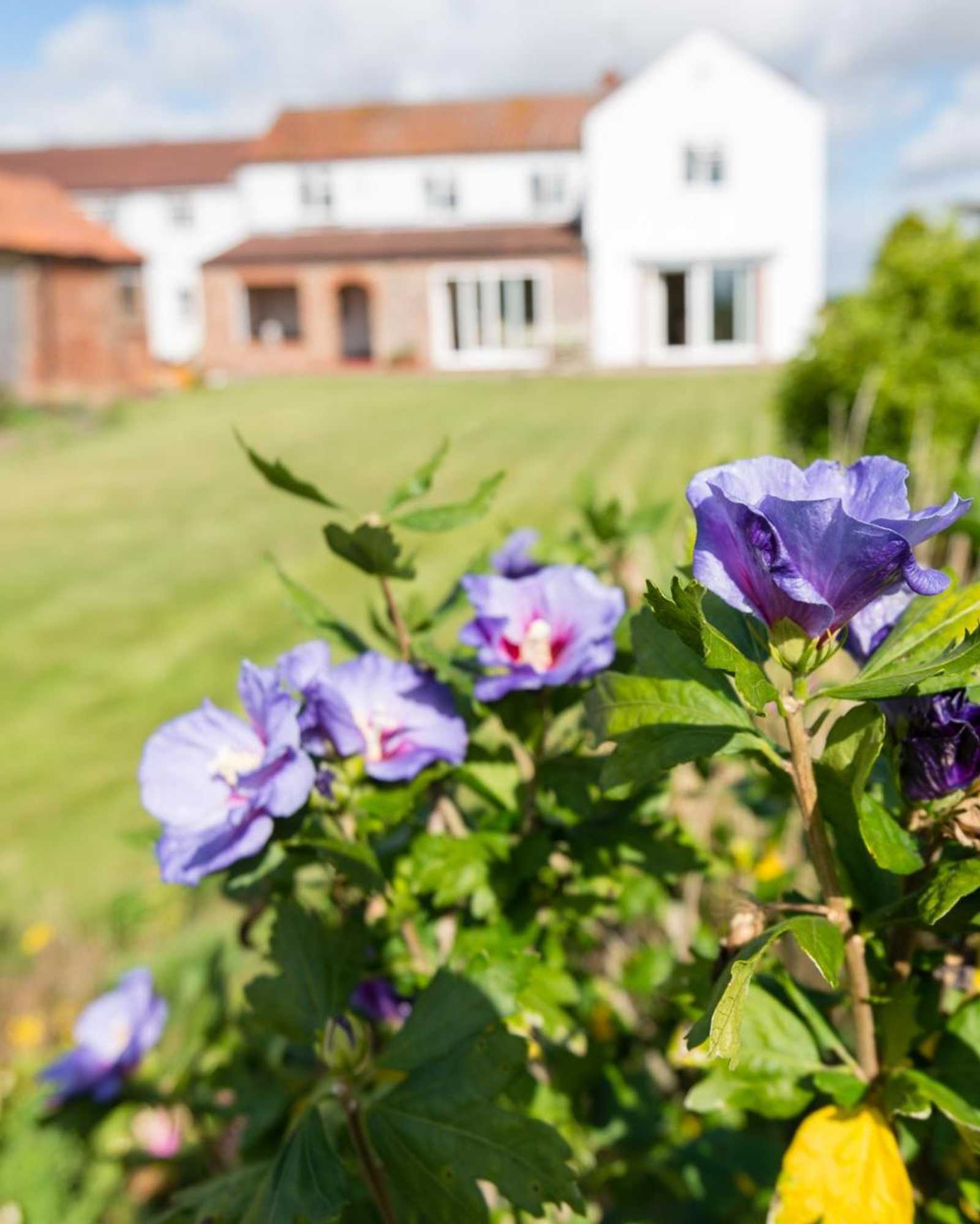 Gift card for Deighton Lodge