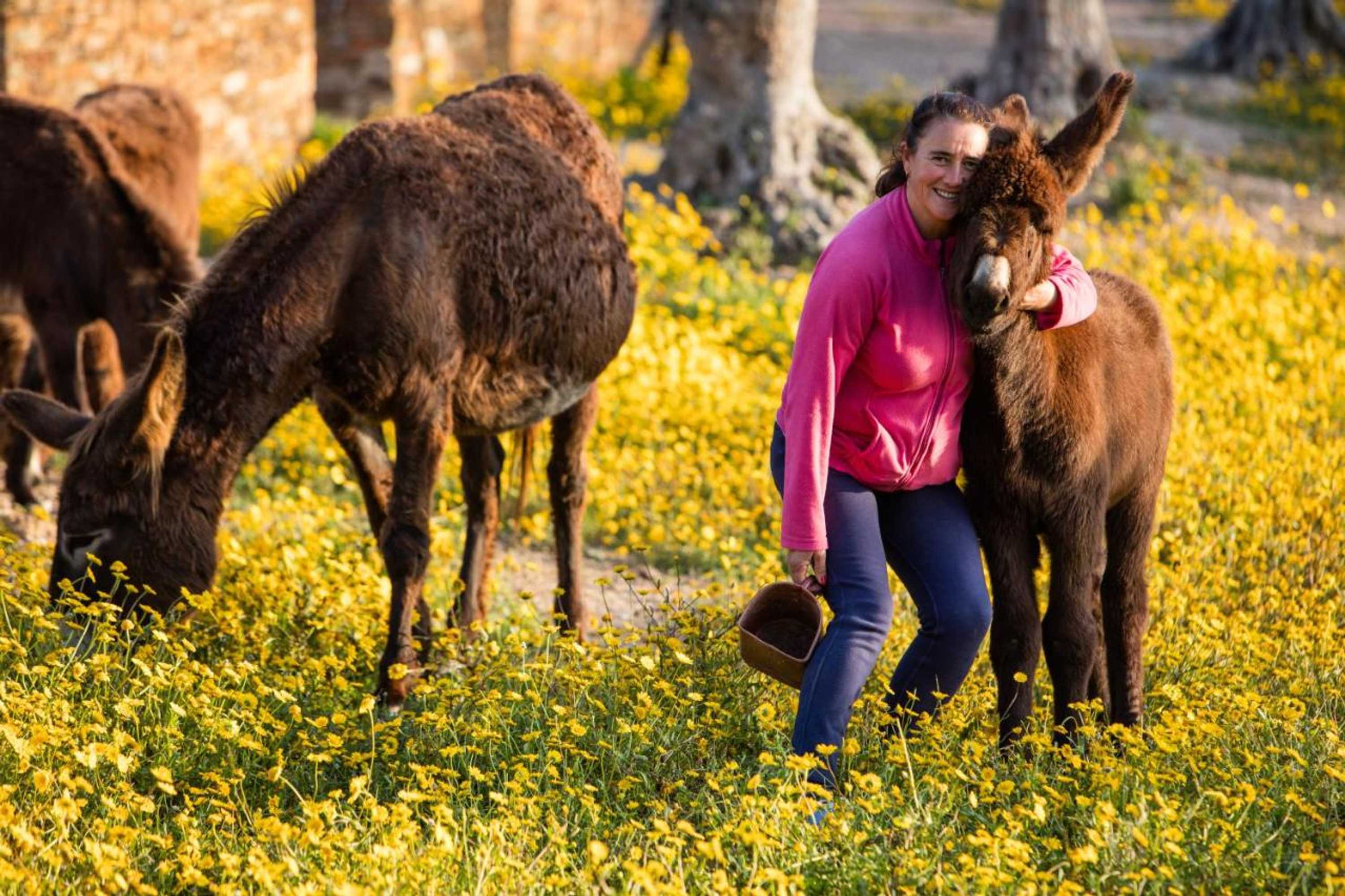 Gift card for Teima, Alentejo SW Gift card for Teima, Alentejo SW