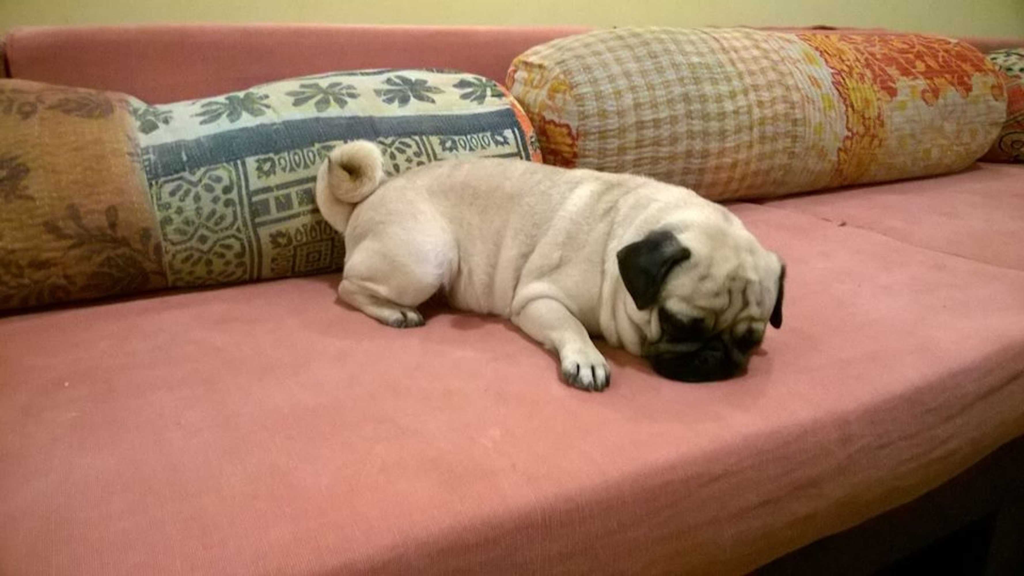 Gift card for 1st Gate Home - Fusion