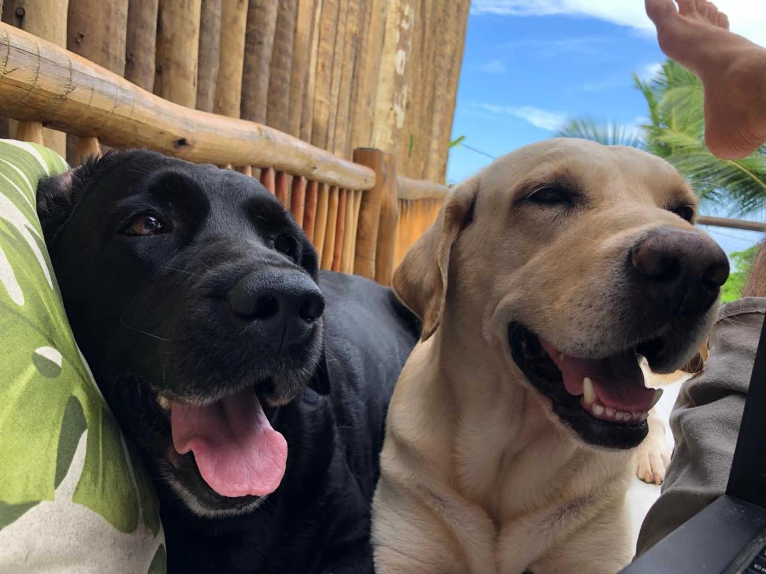 Gift card for Pousada Pipe House