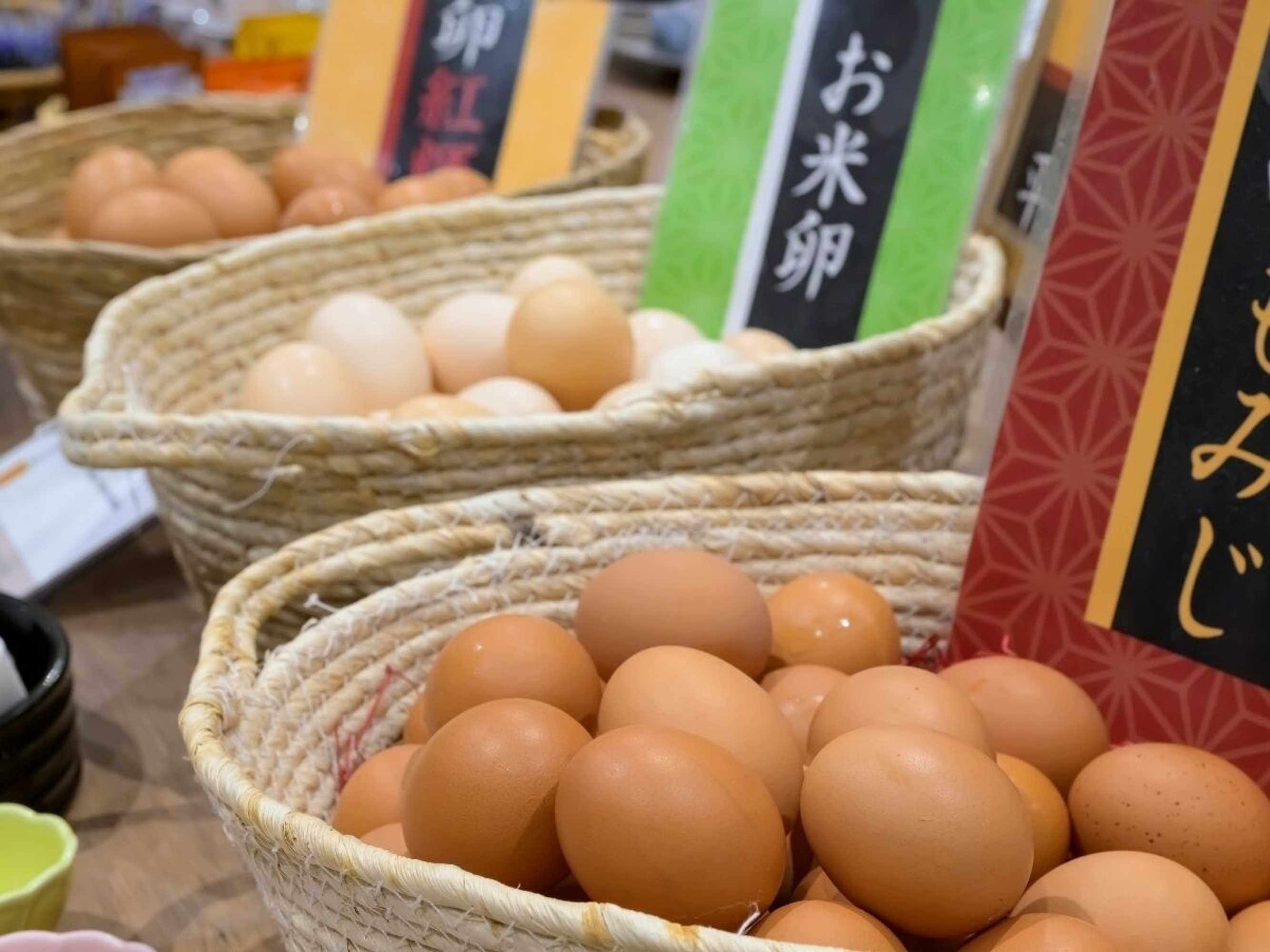 Gift card for Tendo Hotel Gift card for Tendo Hotel