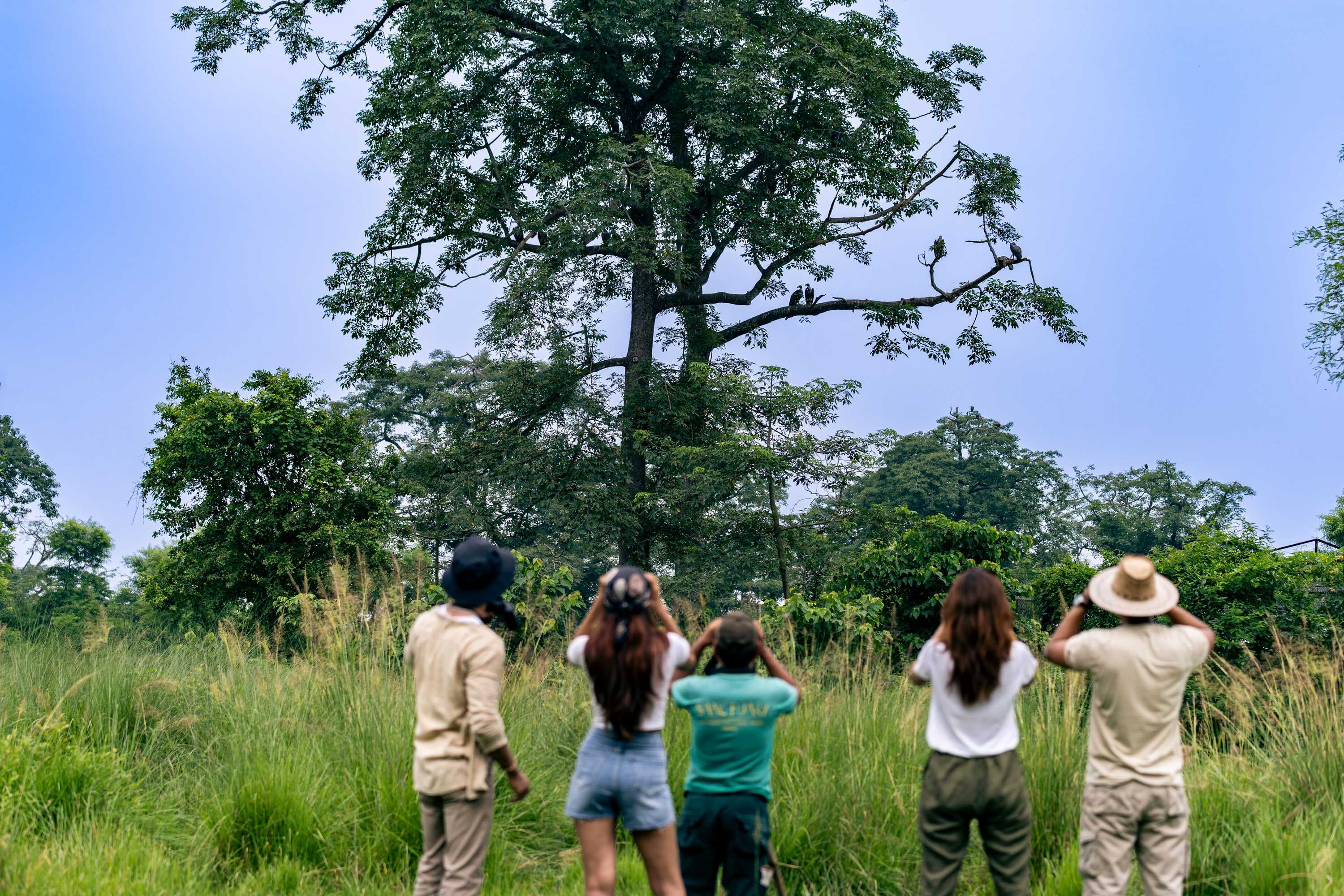Gift card for Sanctuary - Chitwan National Park , Nepal Gift card for Sanctuary - Chitwan National Park , Nepal