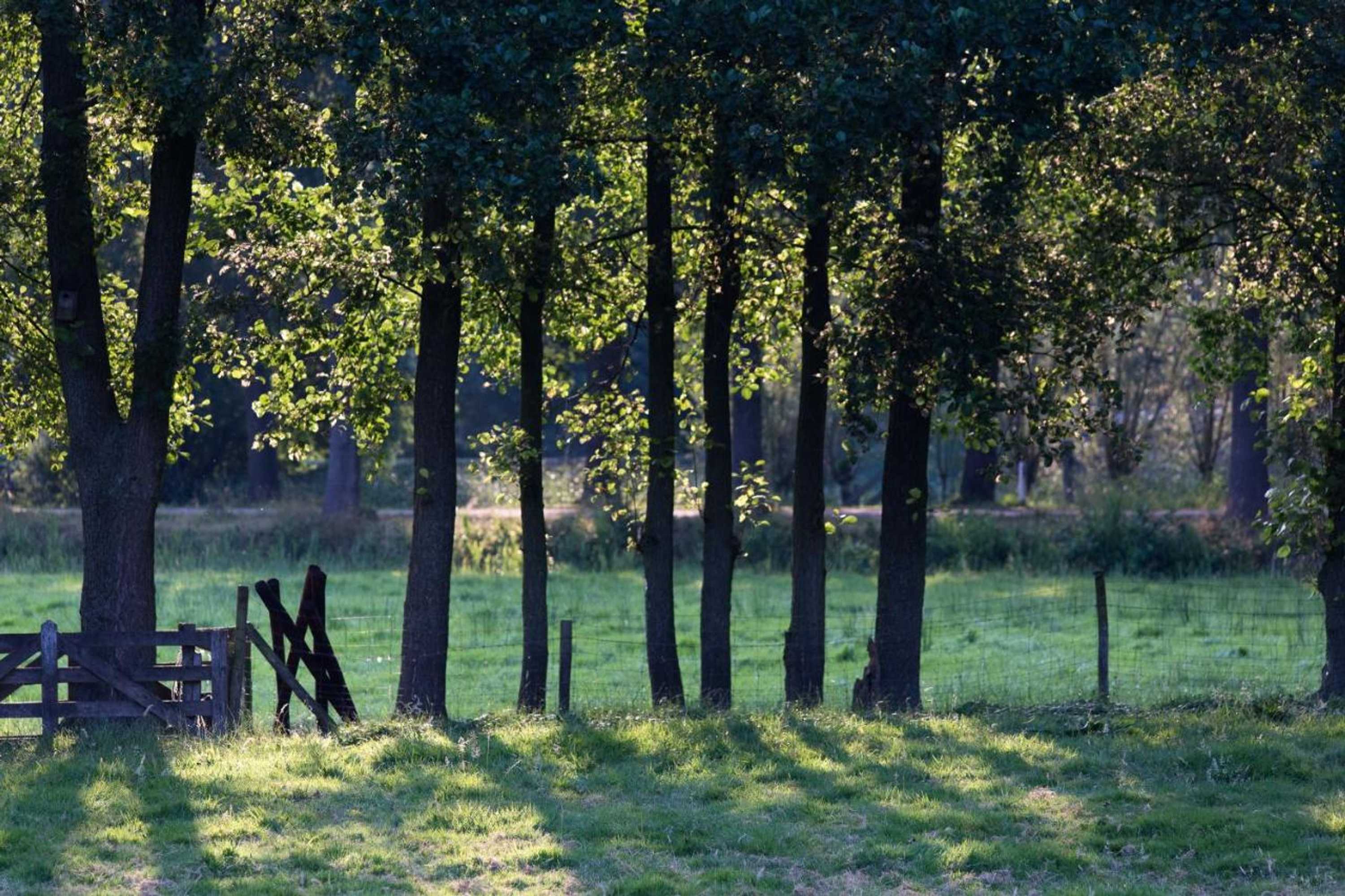 Gift card for Blier Herne