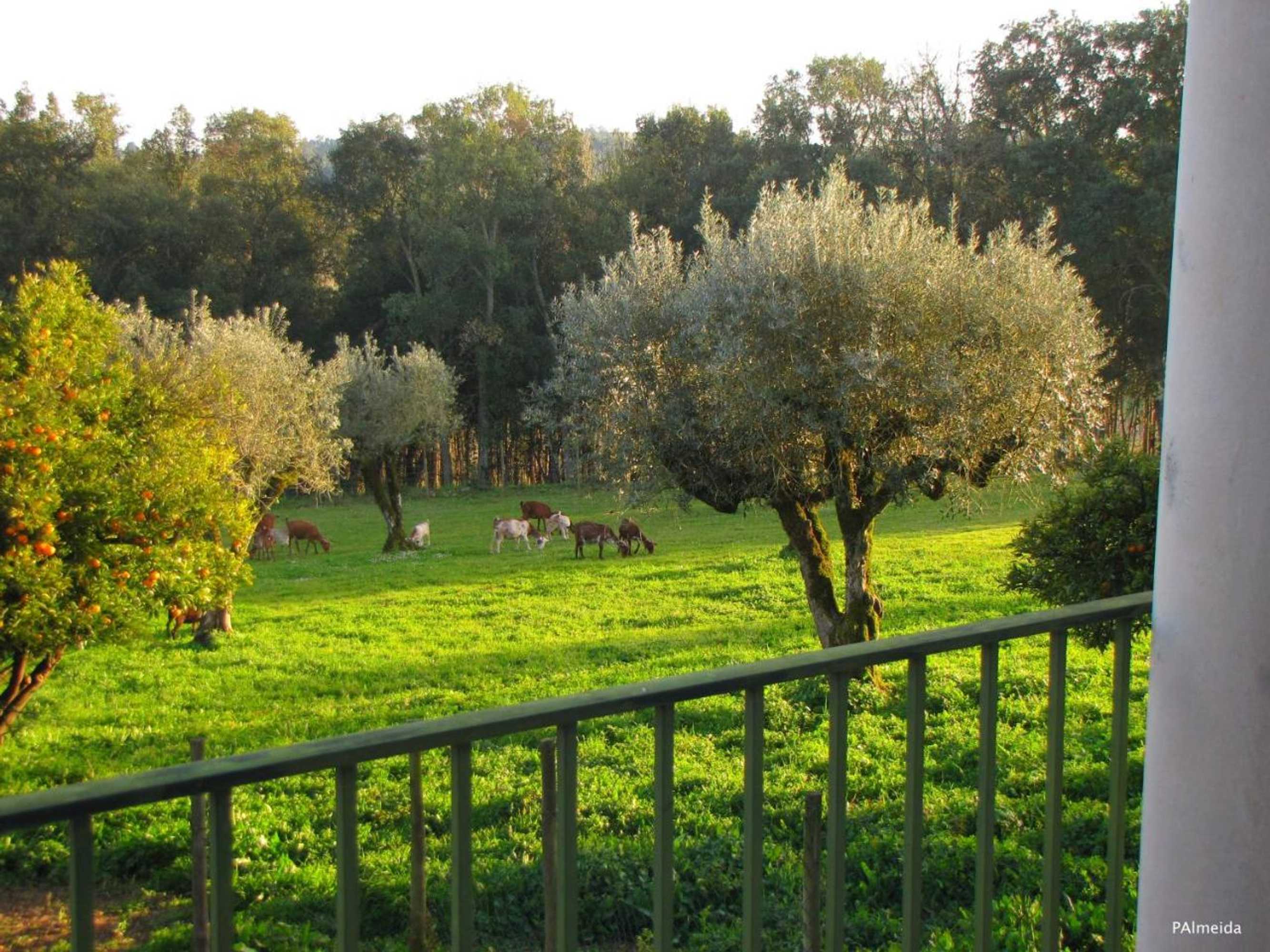 Gift card for Quinta do Cerquito