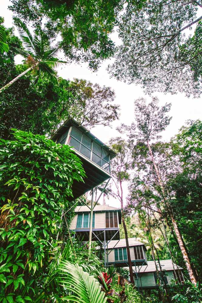 Gift card for Daintree Ecolodge