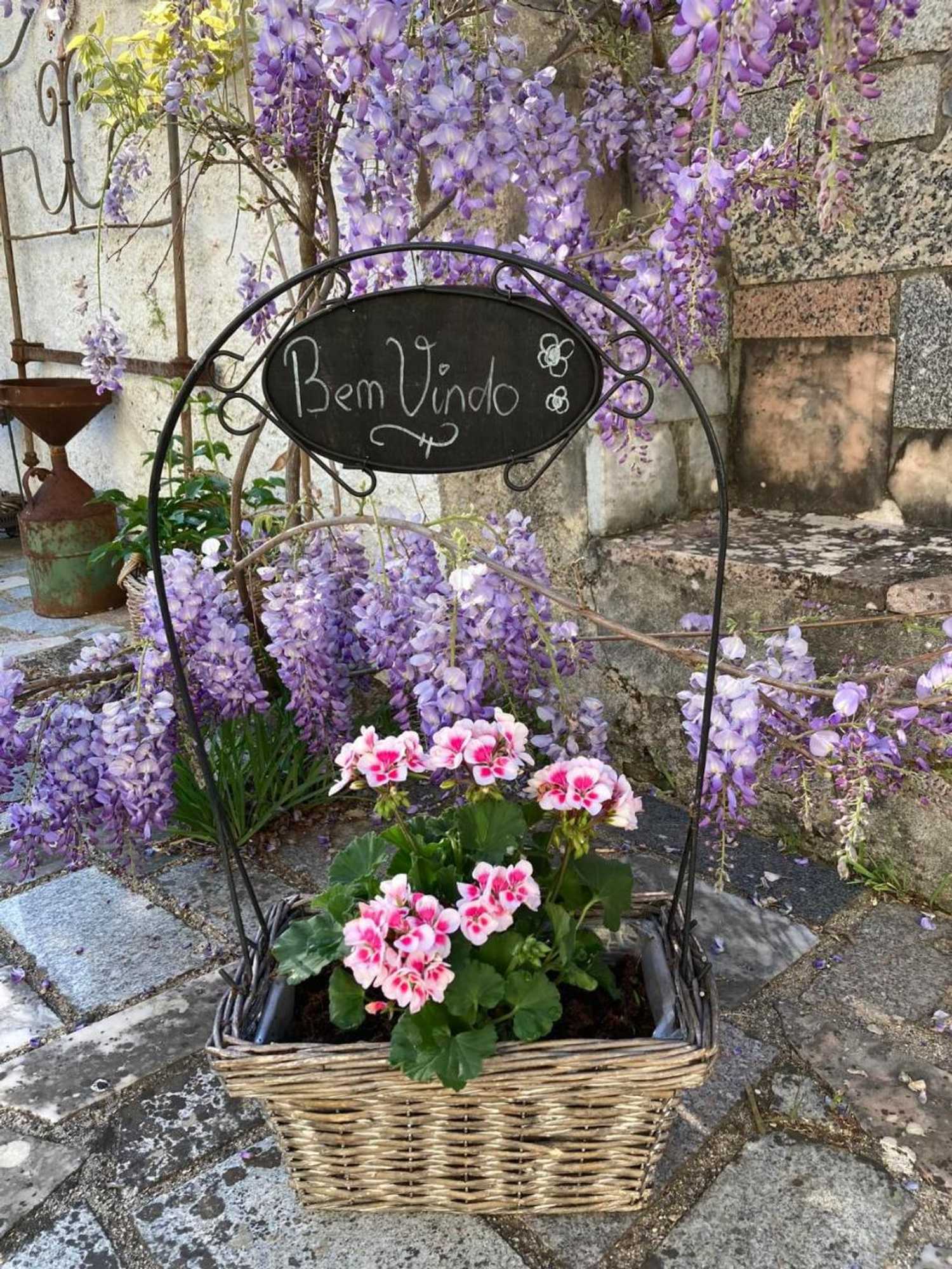 Gift card for Bed & Breakfast Porturama