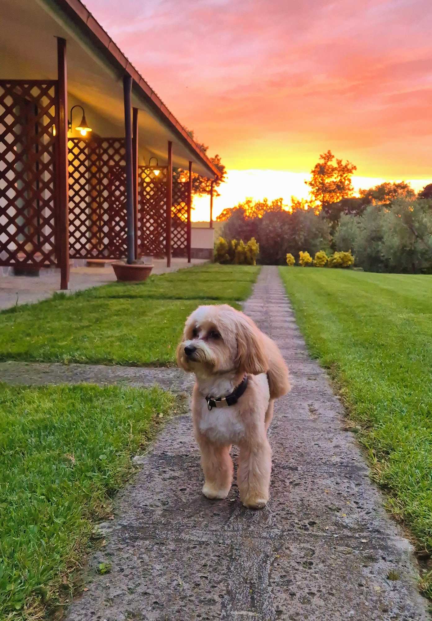 Gift card for Agriturismo Il Migliarino