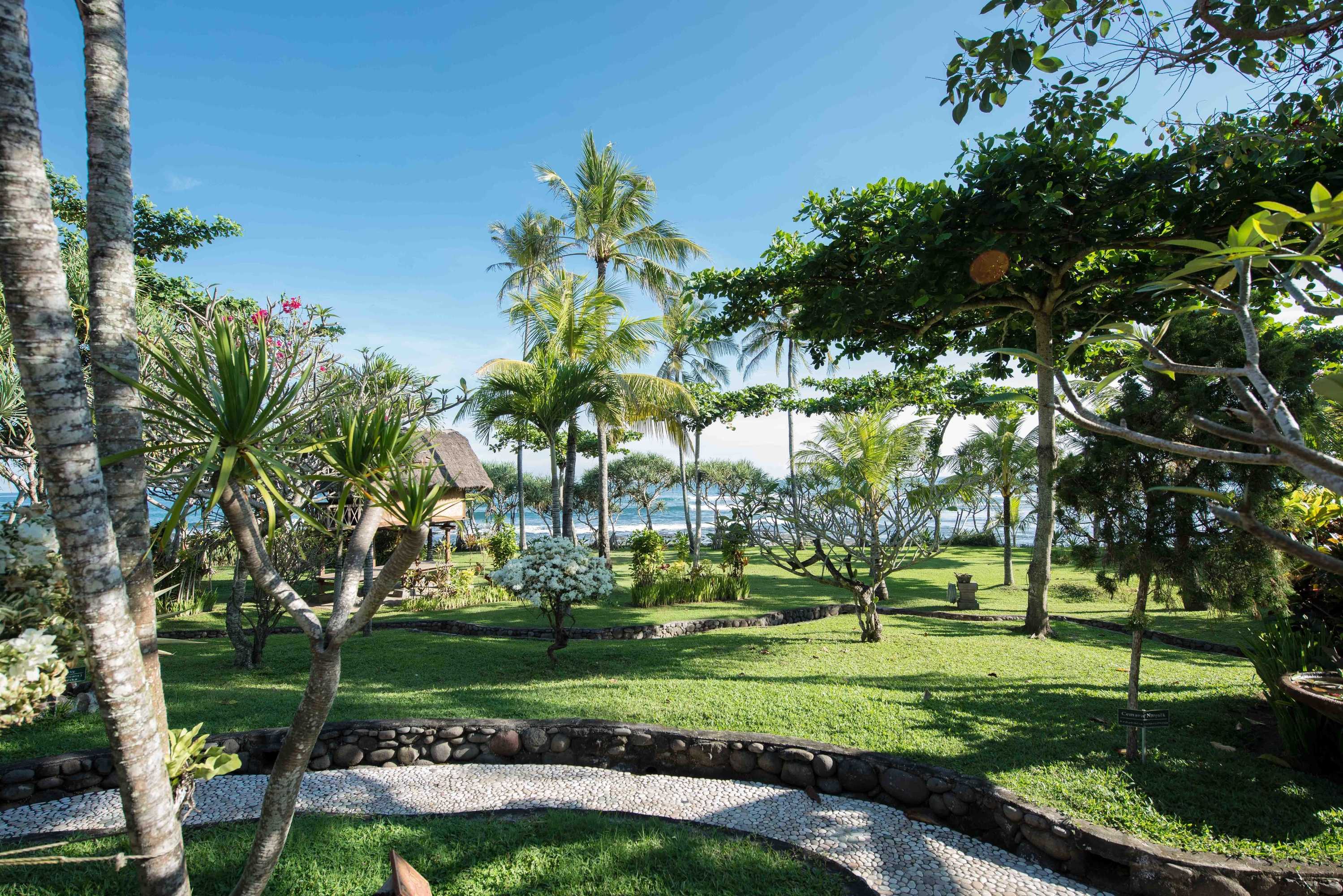 Gift card for Puri Dajuma Beach Eco-Resort & Spa Gift card for Puri Dajuma Beach Eco-Resort & Spa