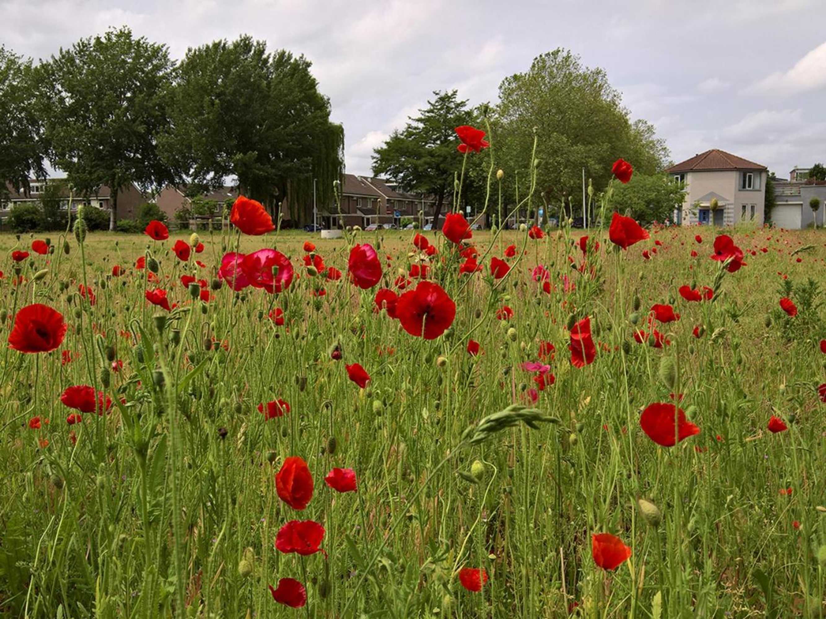 Gift card for B&b Zevenkamp