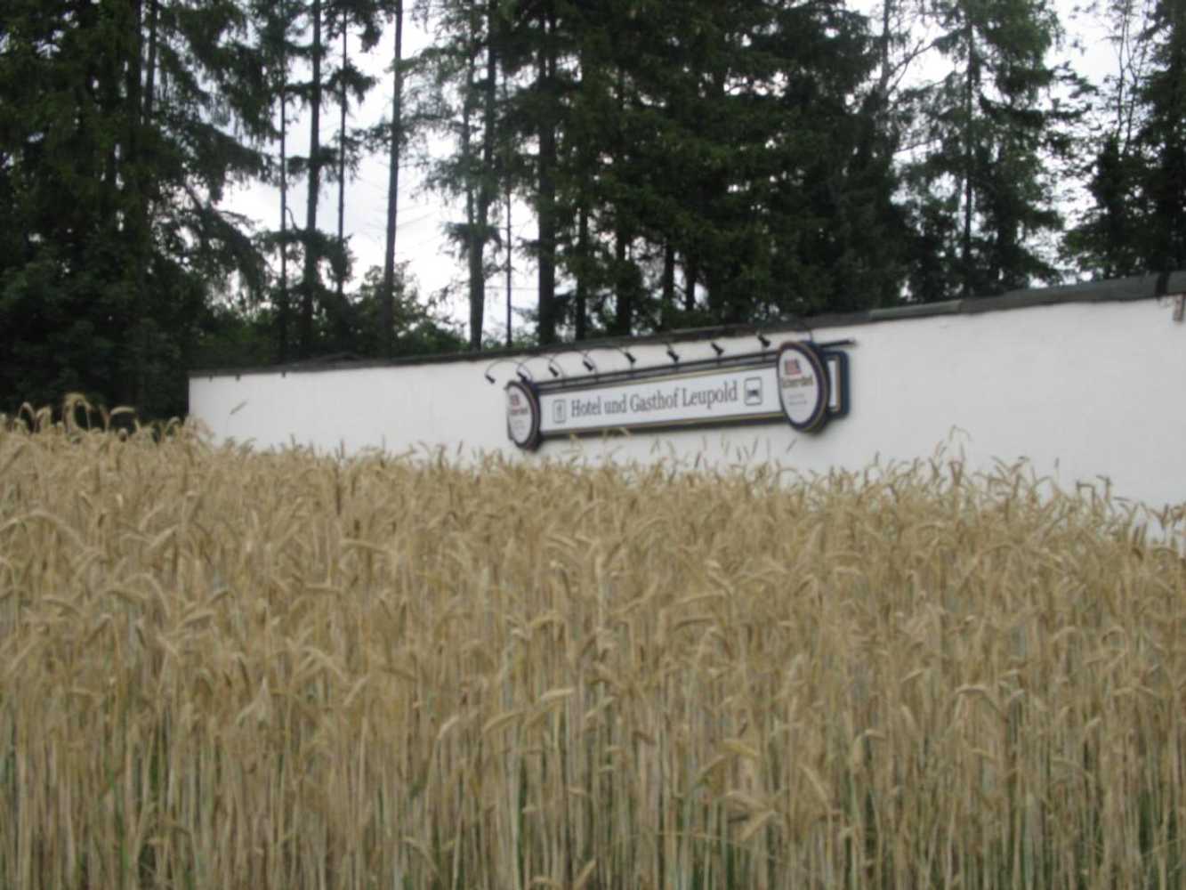 Gift card for Gasthof-Pension Leupold