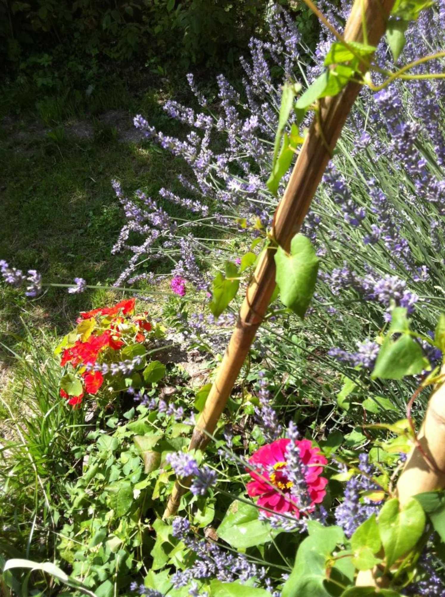 Gift card for B&b Alba Sul Lago