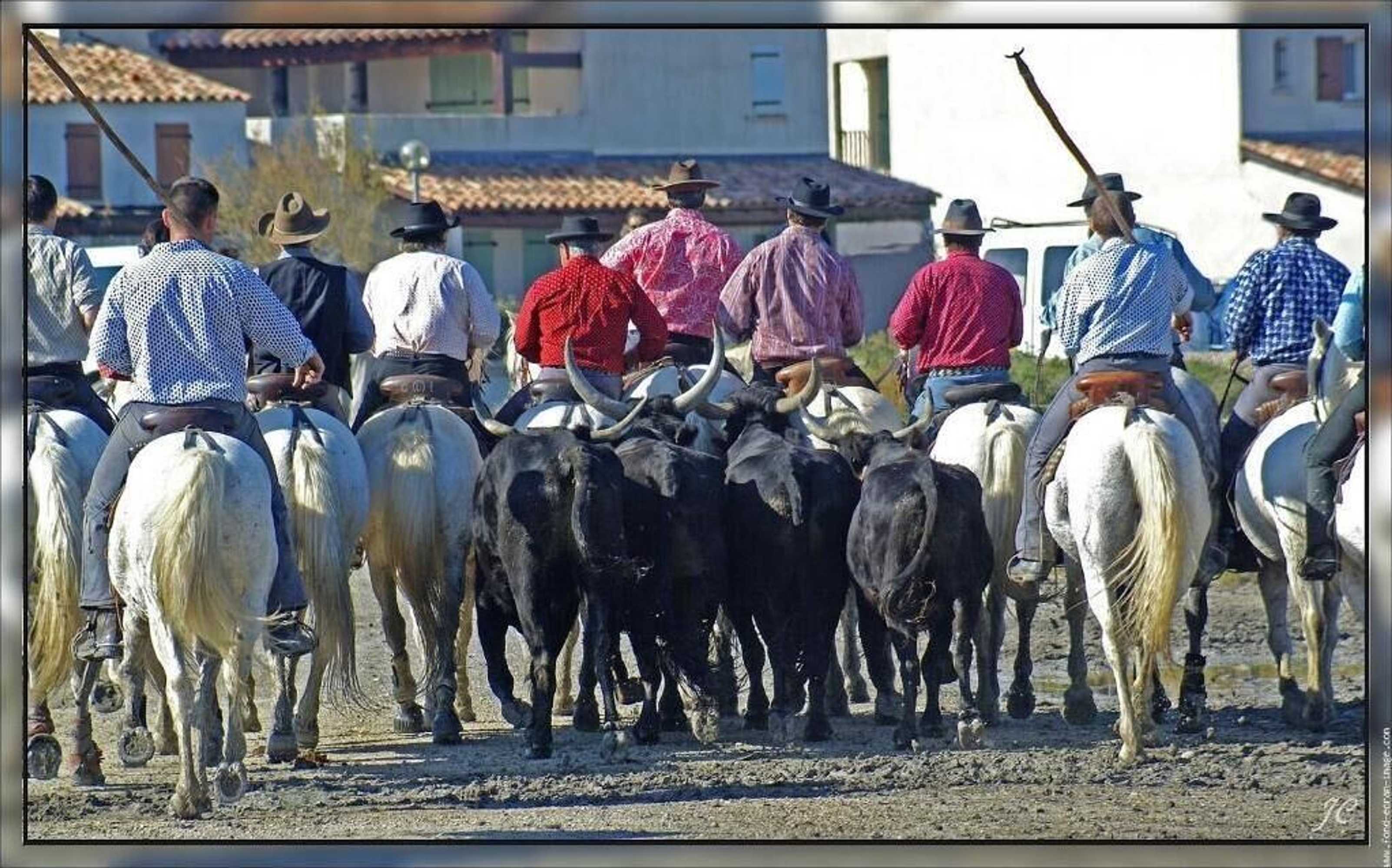 Gift card for Le Louvre, Lieu Atypique