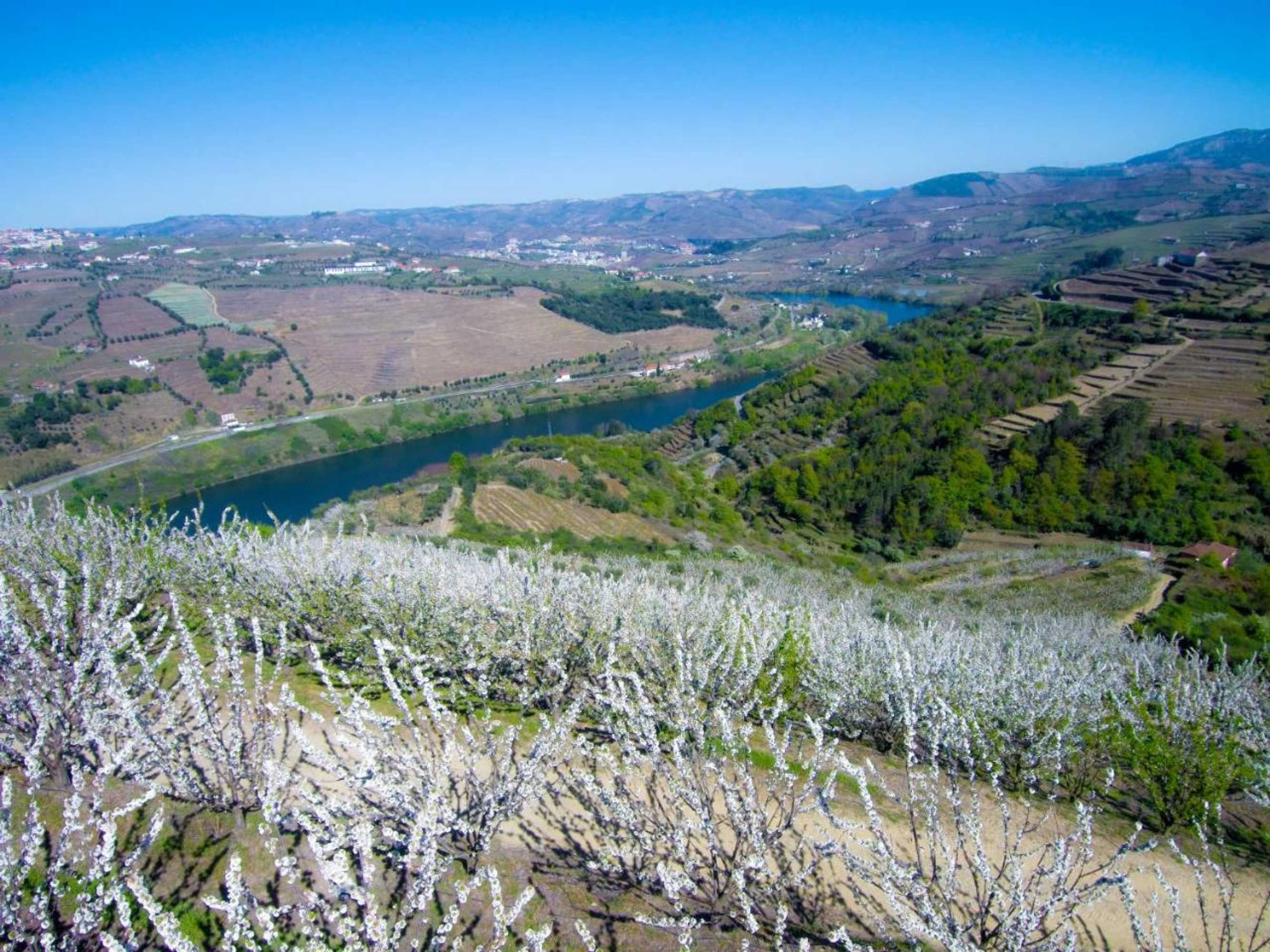 Gift card for Quinta do Pombal Douro Gift card for Quinta do Pombal Douro