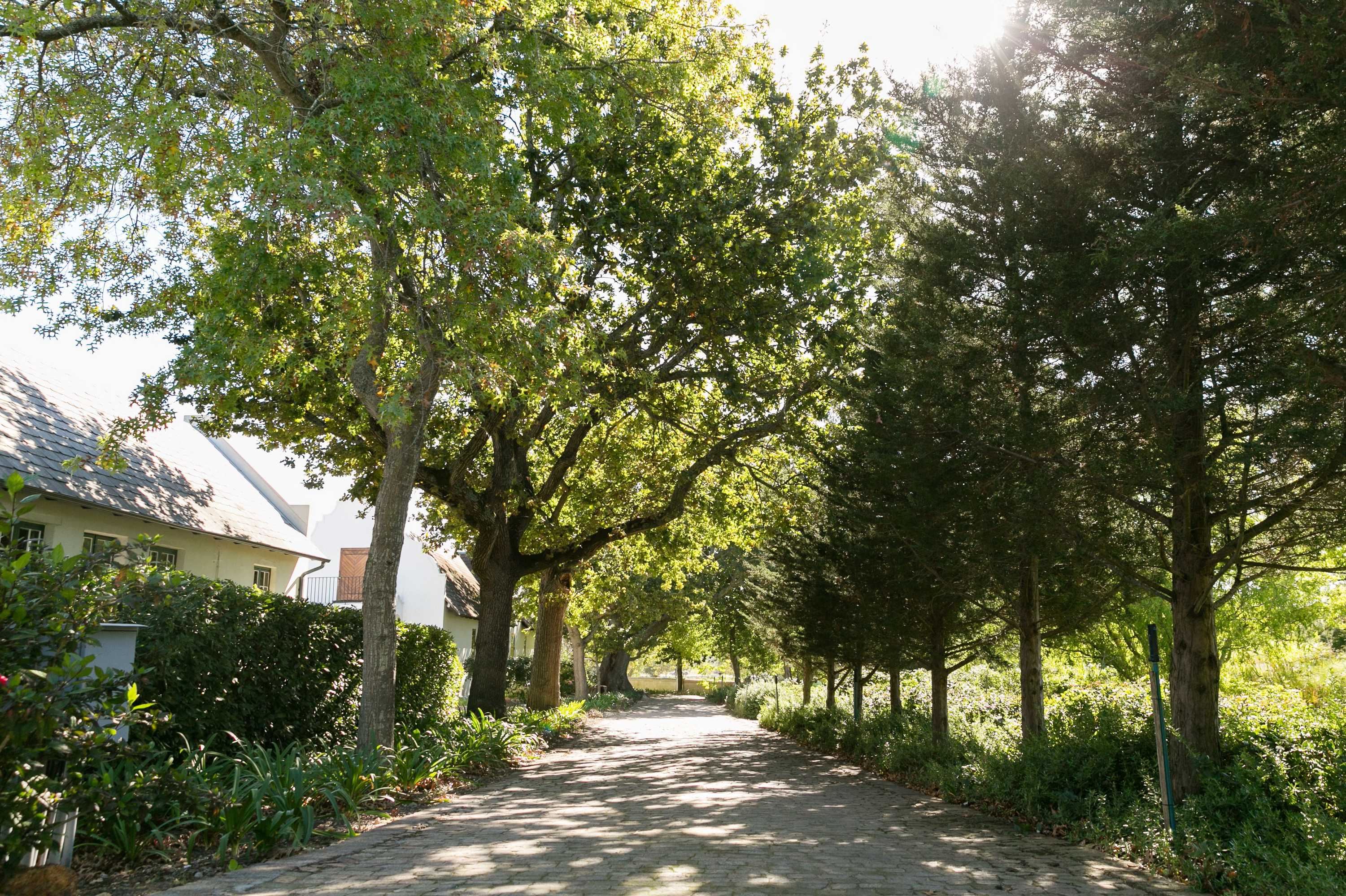 Gift card for Vredenburg Manor House Gift card for Vredenburg Manor House
