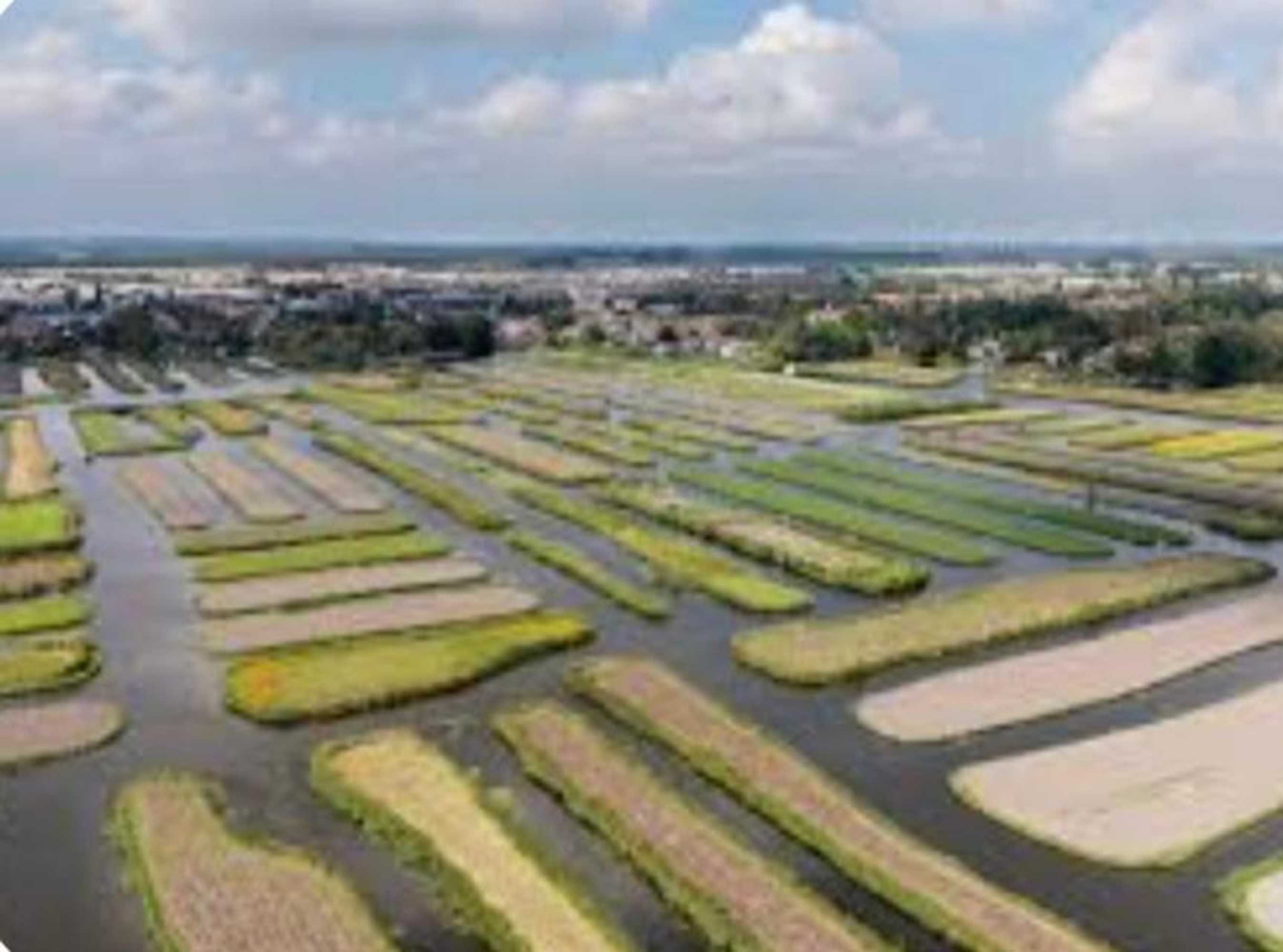 Gift card for Huisje Finn Park de Horn