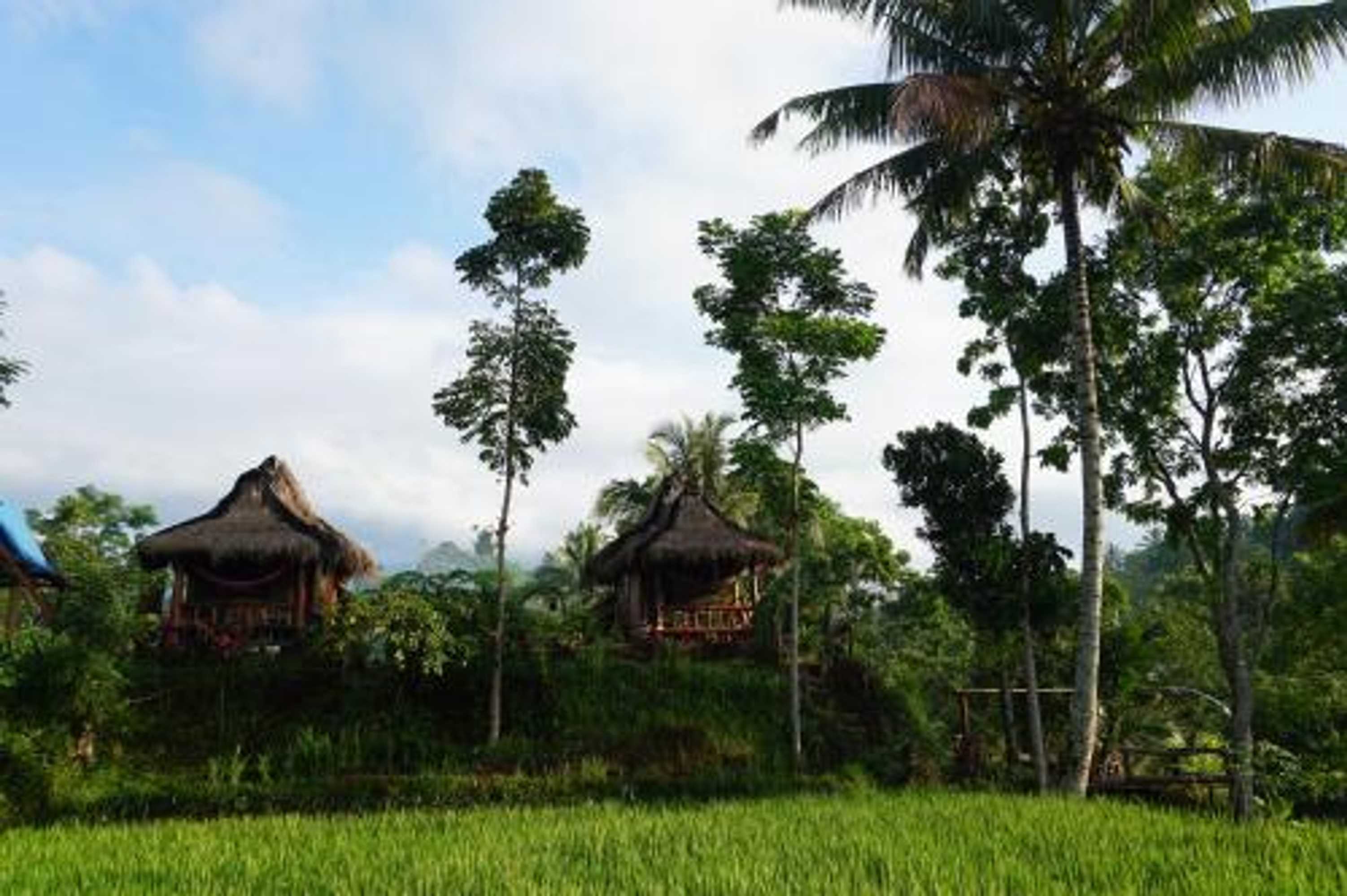 Gift card for Satu Lingkung Bungalows Homestay Gift card for Satu Lingkung Bungalows Homestay