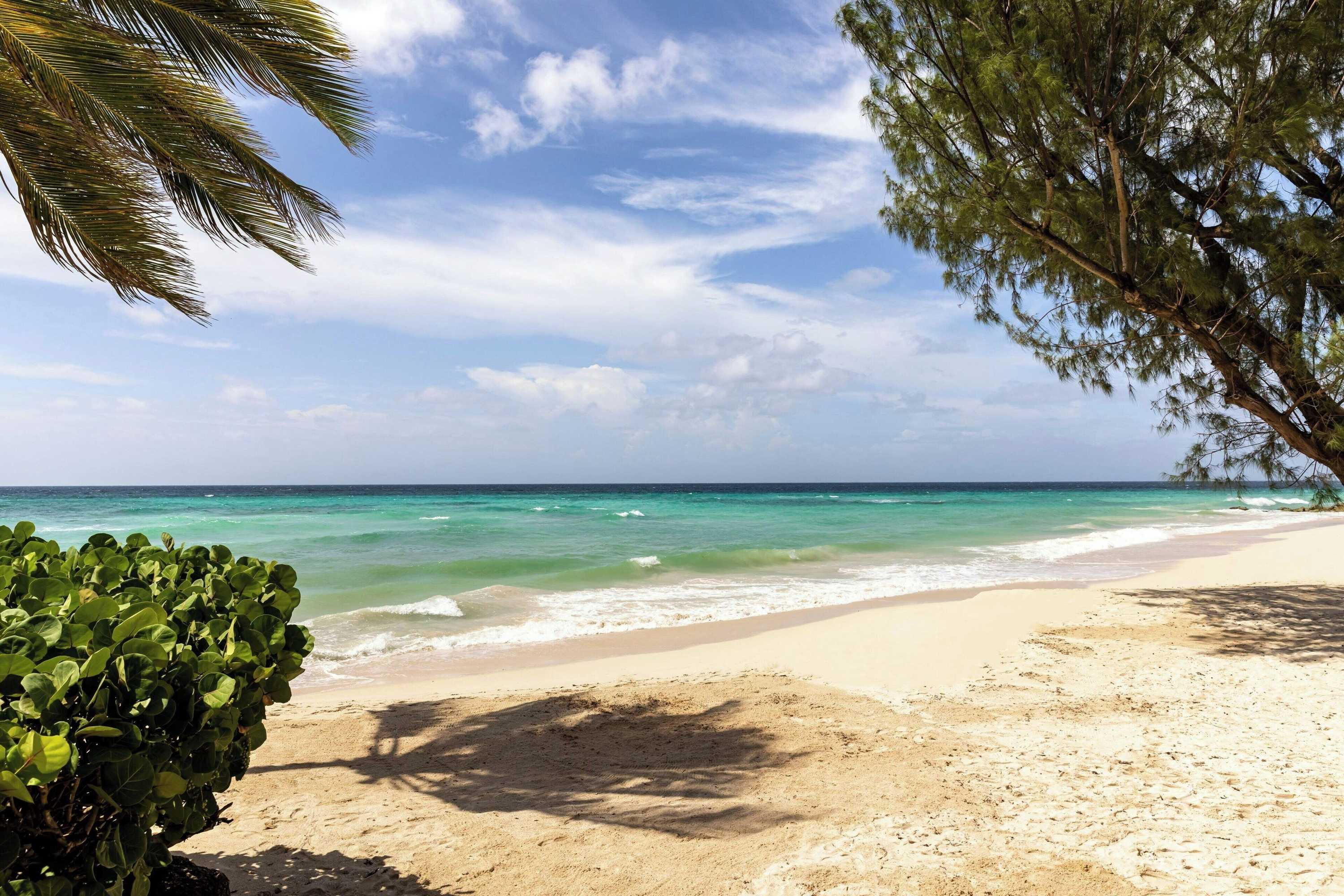 Gift card for Turtle Beach, a Tribute Portfolio All-Inclusive Hotel Gift card for Turtle Beach, a Tribute Portfolio All-Inclusive Hotel