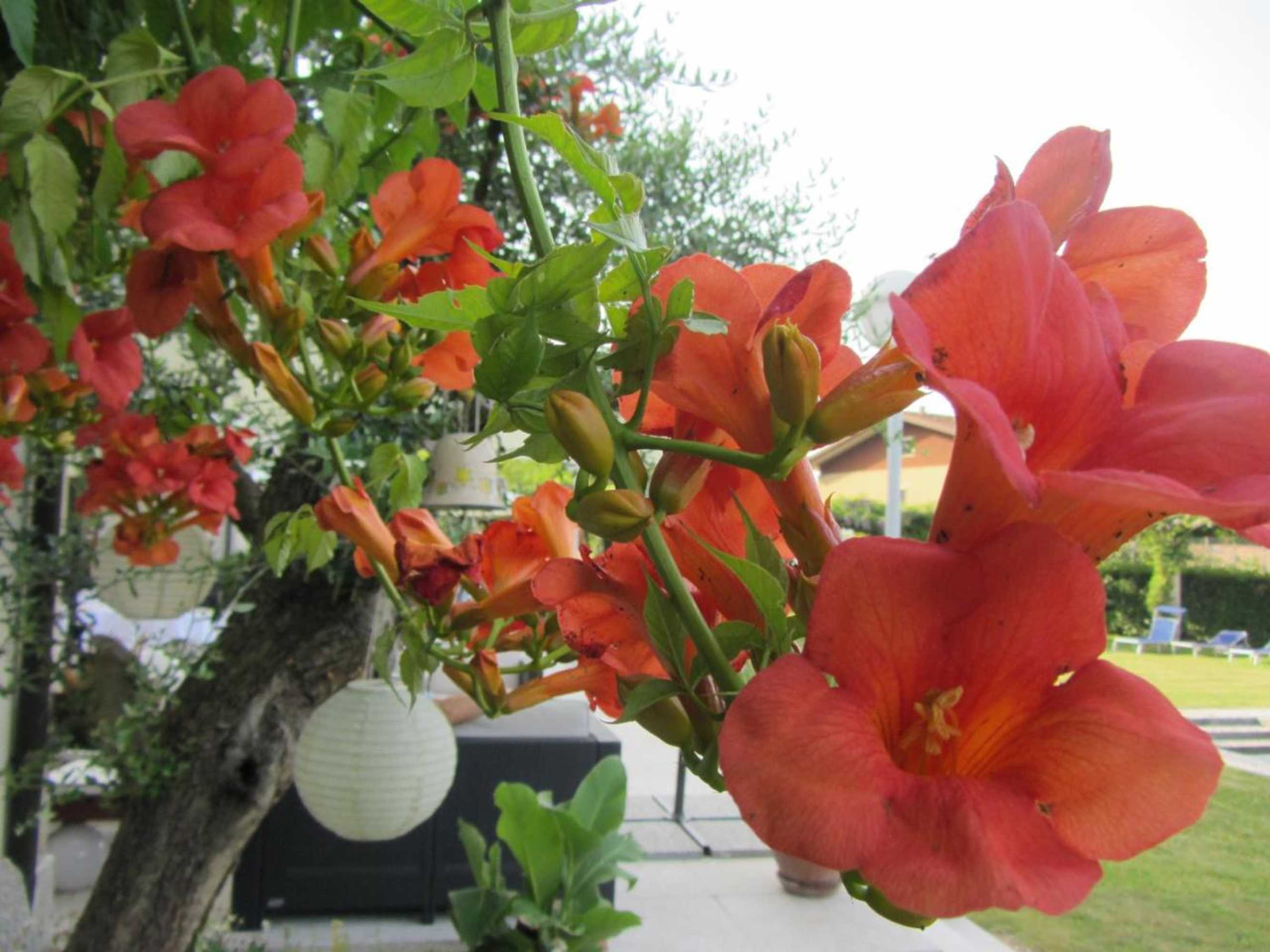 Gift card for Hotel Villaguarda Landscape Experience Gift card for Hotel Villaguarda Landscape Experience
