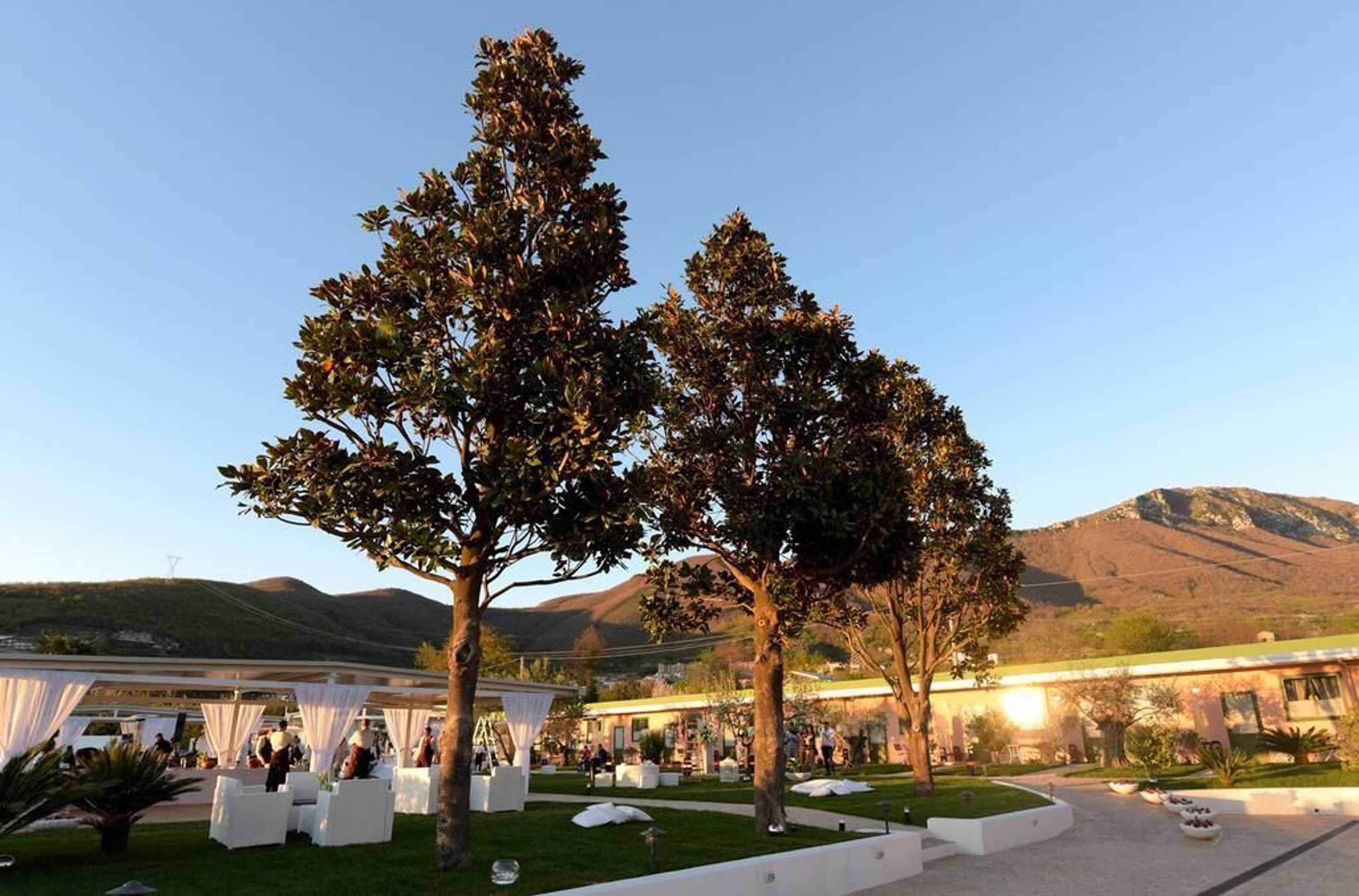 Gift card for Masseria Nobile Gift card for Masseria Nobile