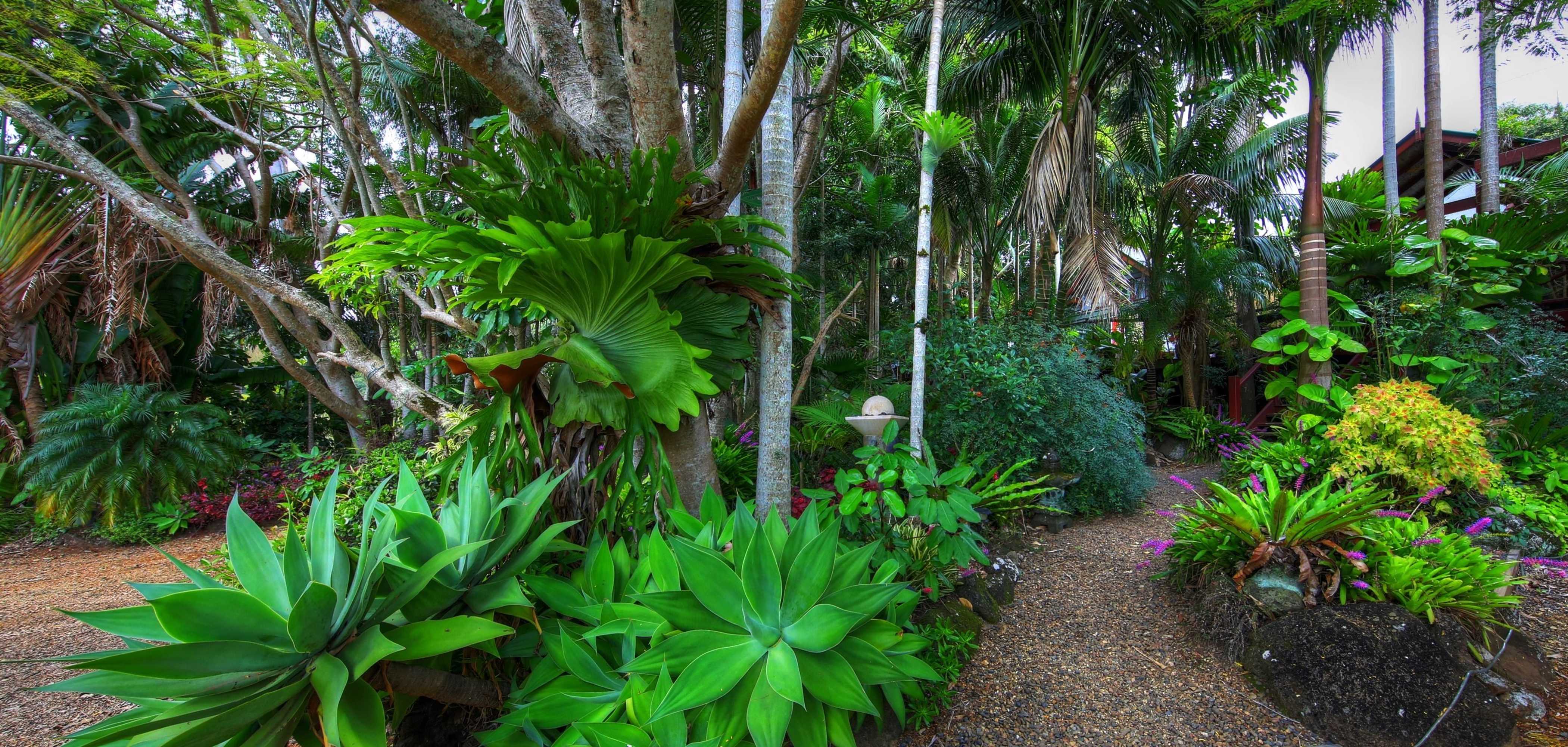 Gift card for Maleny Tropical Retreat Balinese B&b Gift card for Maleny Tropical Retreat Balinese B&b