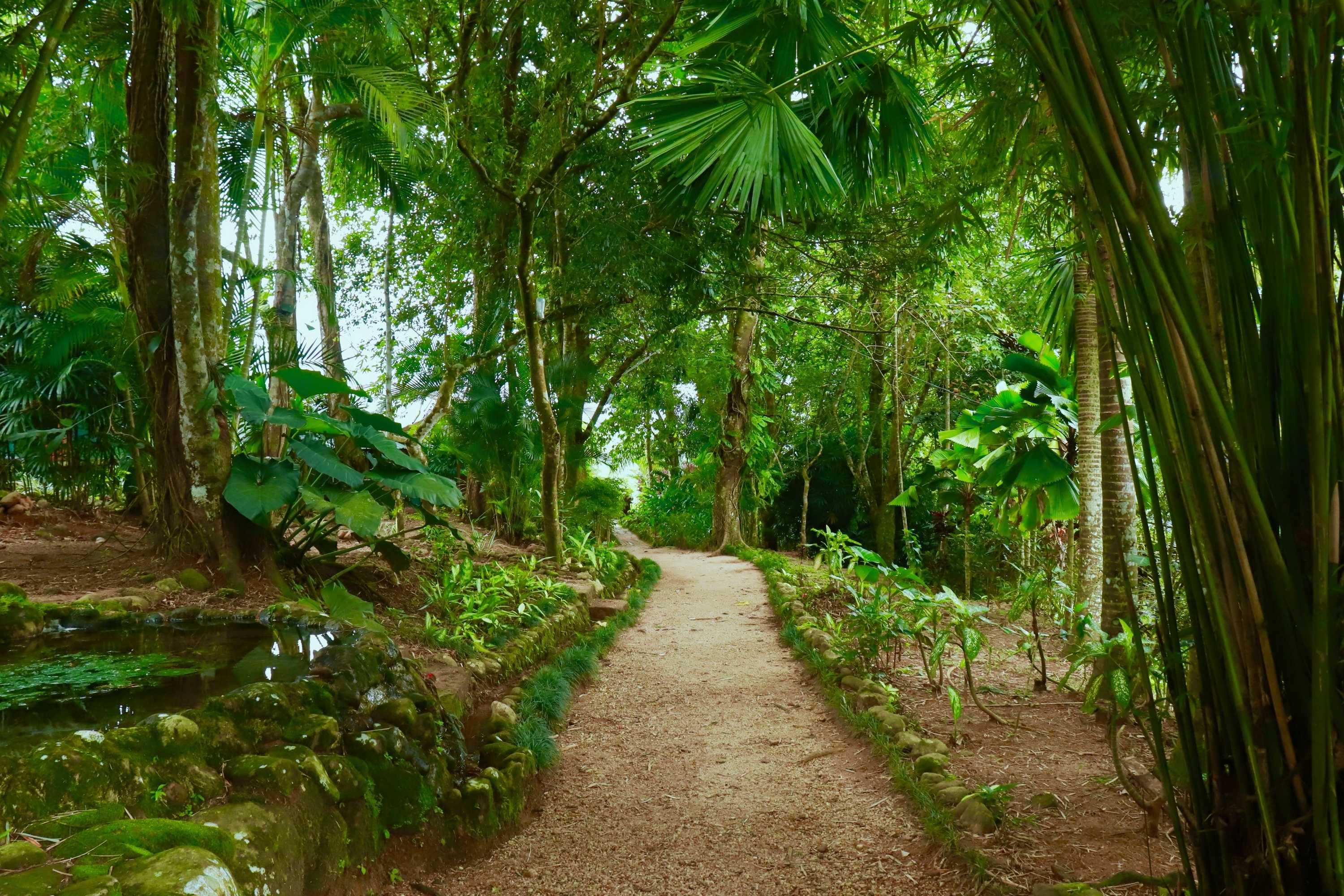 Gift card for Paradise Eco Garden
