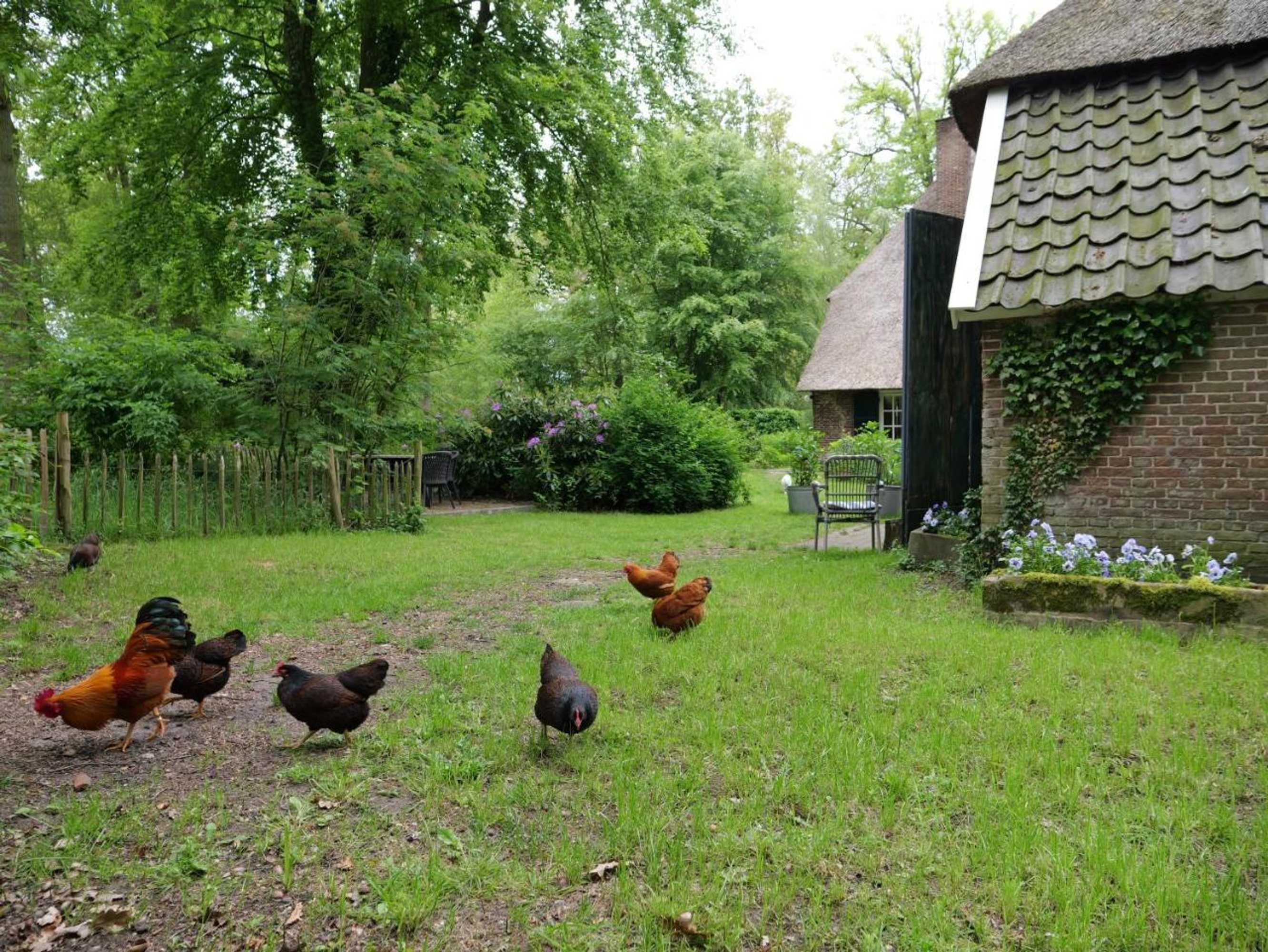 Gift card for Landgoedhoeve Vosbergen