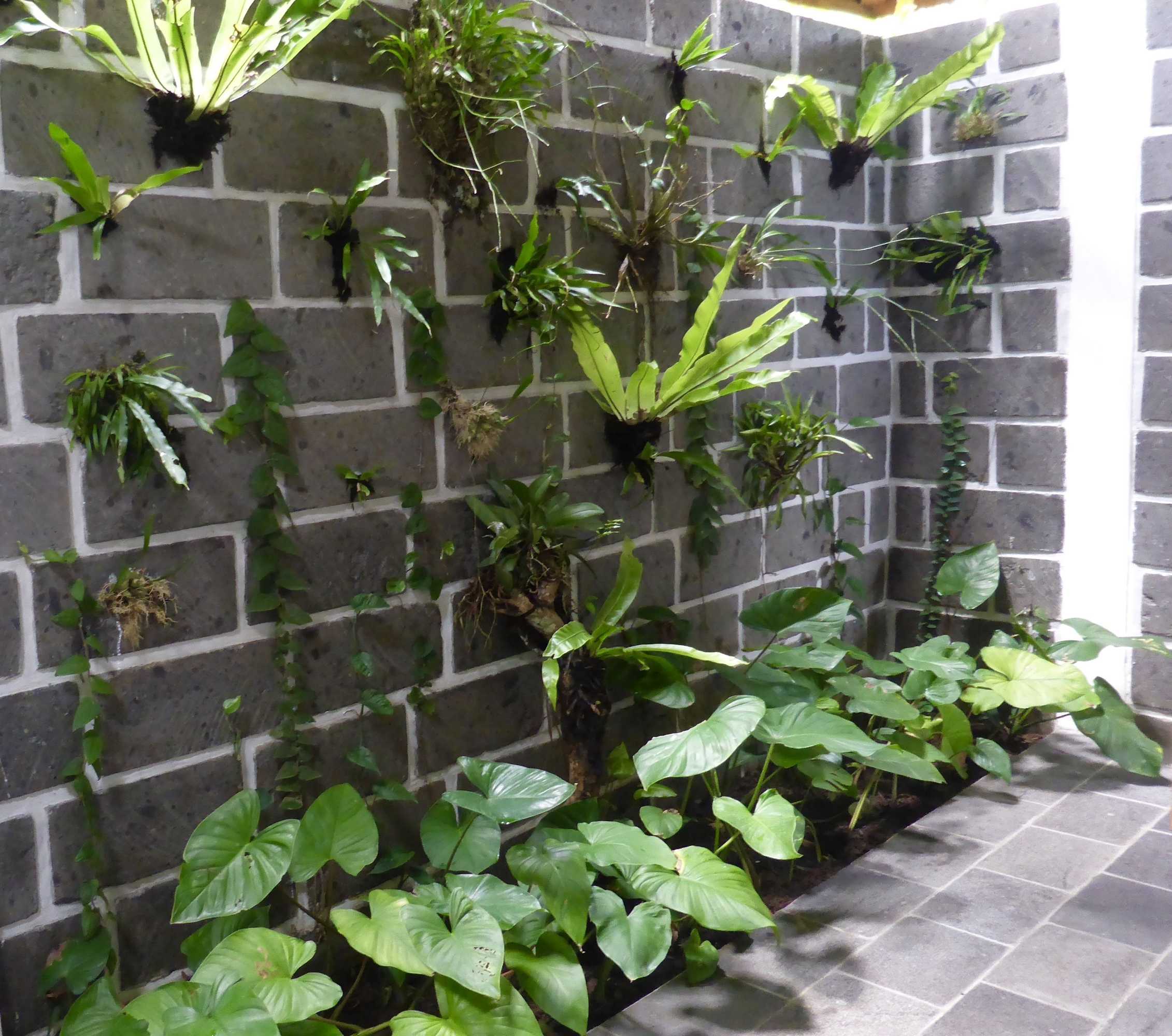 Gift card for Clove Tree Hill