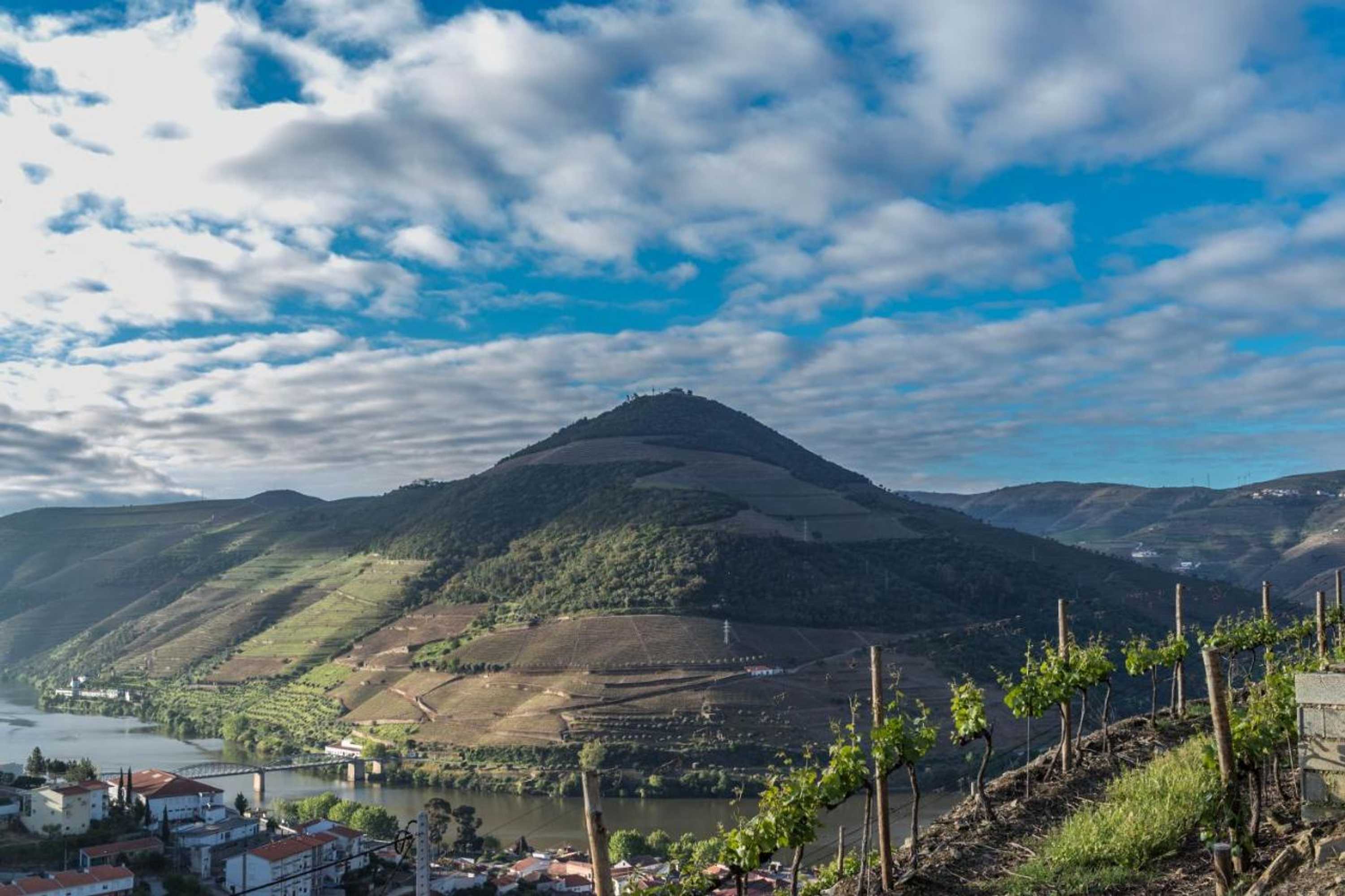 Gift card for Dois Lagares House Gift card for Dois Lagares House