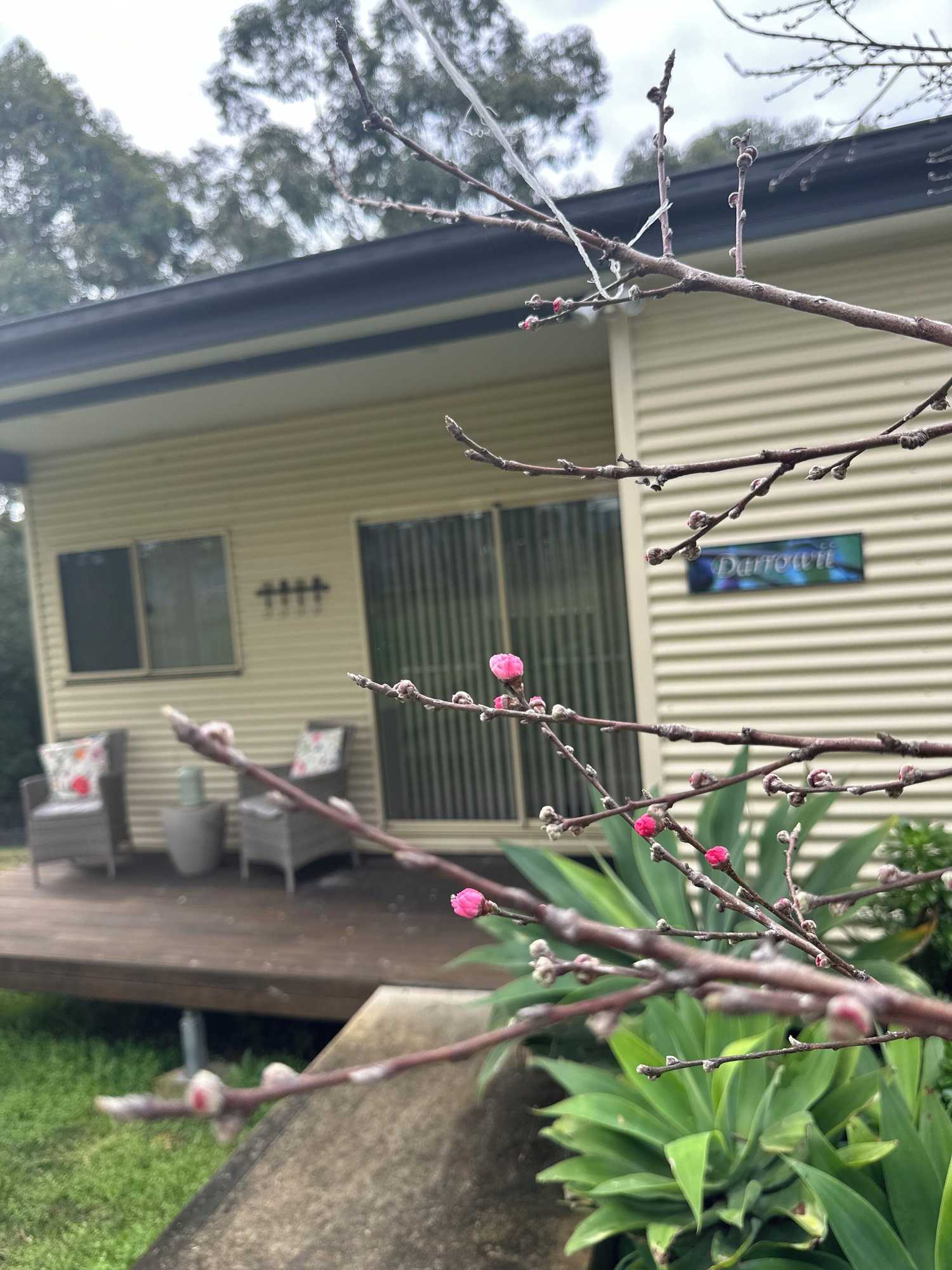 Gift card for Blueberry Hills On Comleroy Farmstay - B&b And Self-Contained Cottages