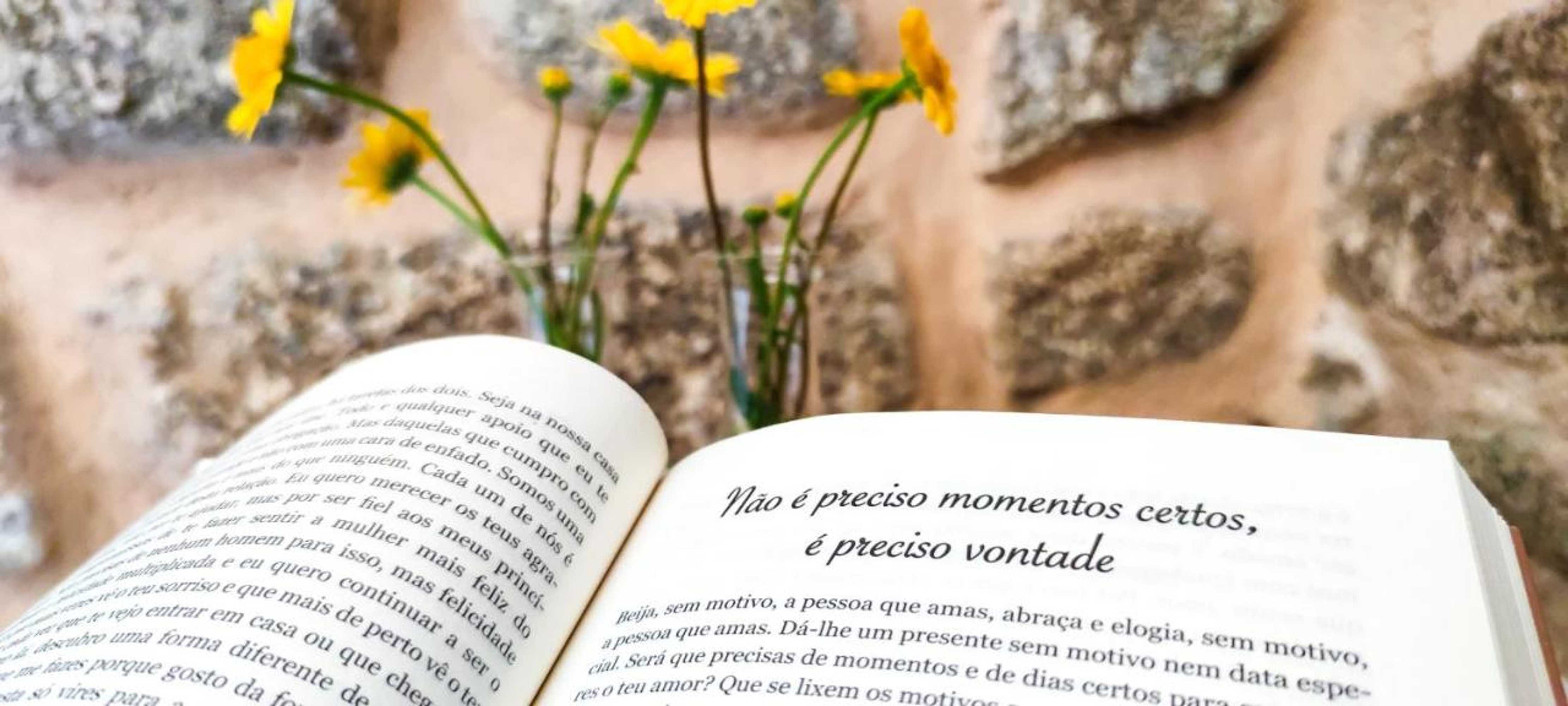 Gift card for River House - Casas do Rio Tora