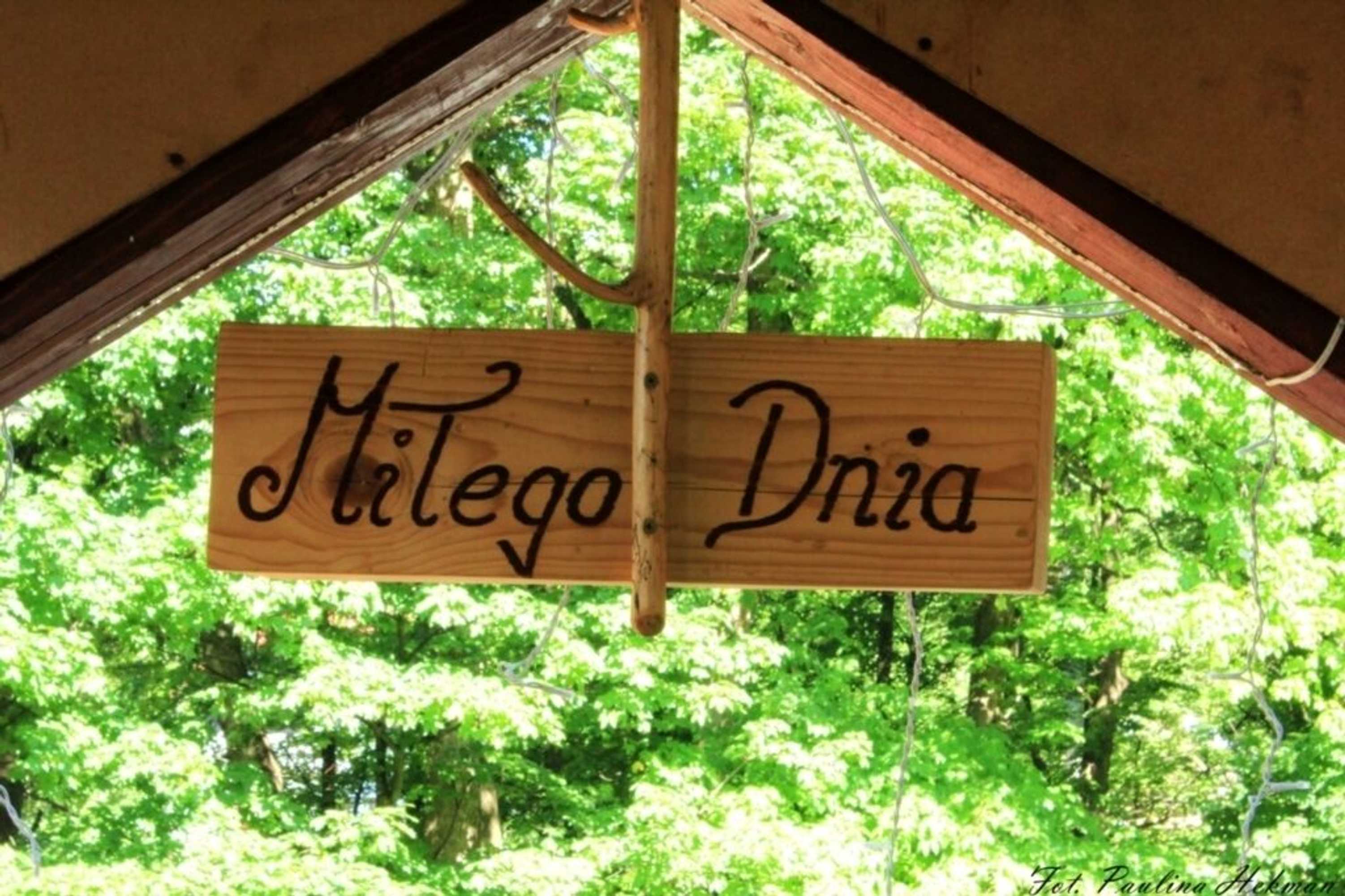 Gift card for Zającówka - Idealna Lokalizacja - Leśna Enklawa w Centrum Miasta! Sauna, Masaże, Zabiegi Spa! Gift card for Zającówka - Idealna Lokalizacja - Leśna Enklawa w Centrum Miasta! Sauna, Masaże, Zabiegi Spa!