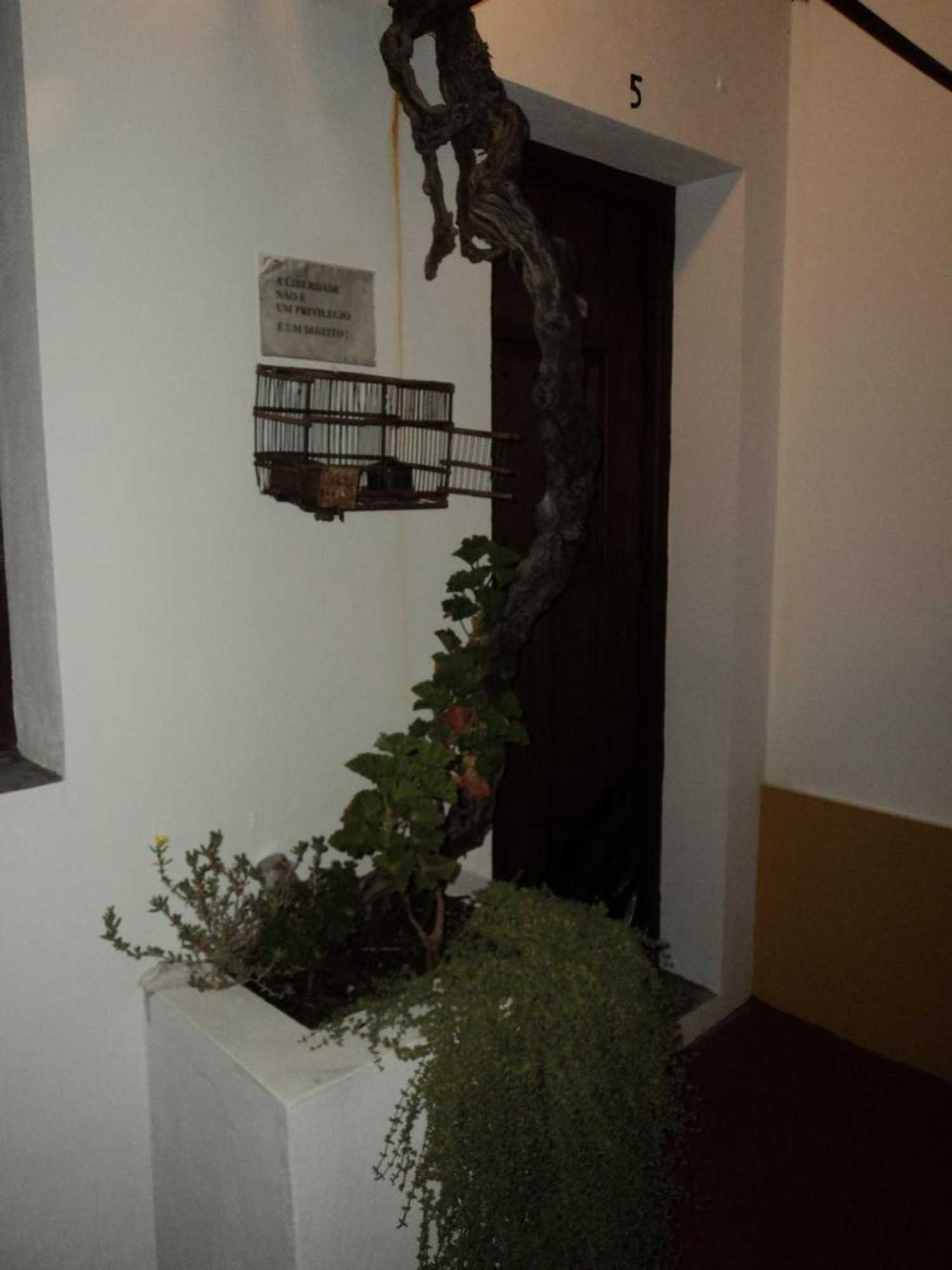 Gift card for Alojamento Pero Rodrigues