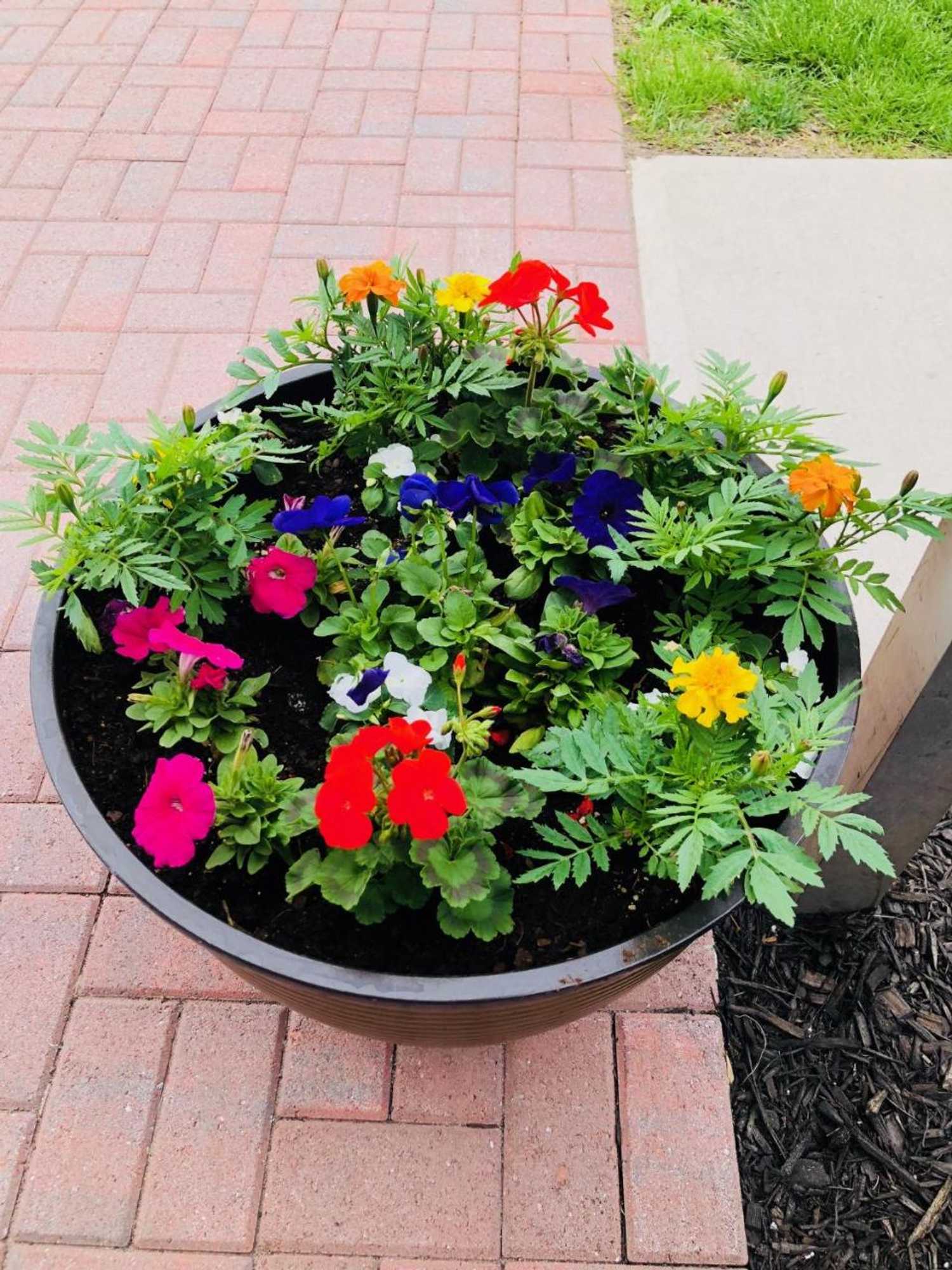 Gift card for The Grenville Hotel And Restaurant