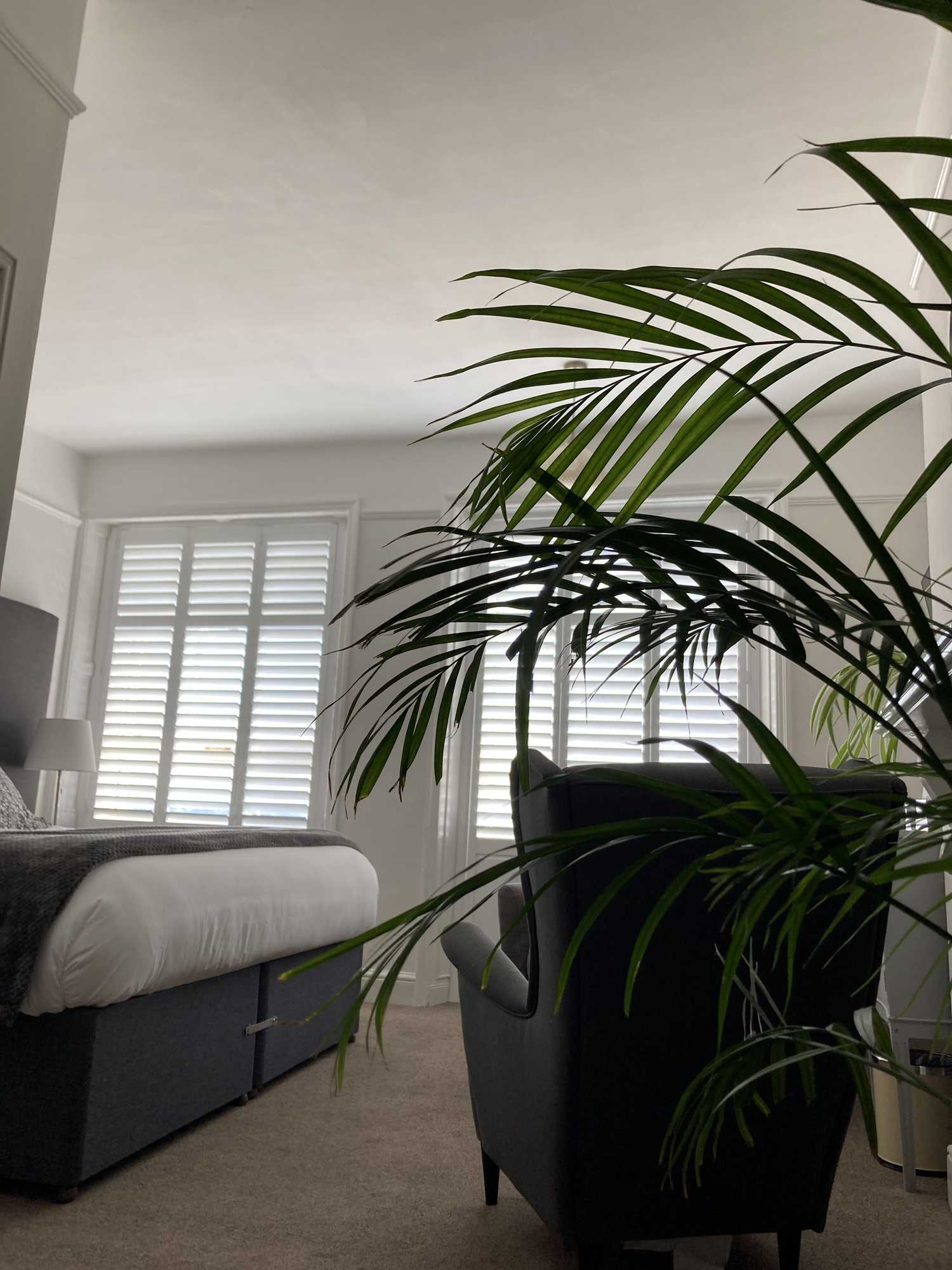 Gift card for The Esplanade