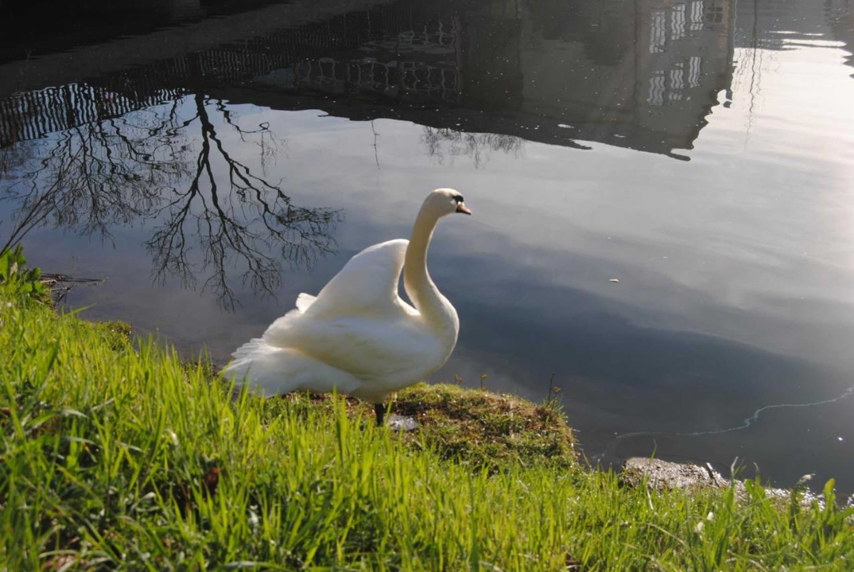 Gift card for Hotel Schiff Nagold