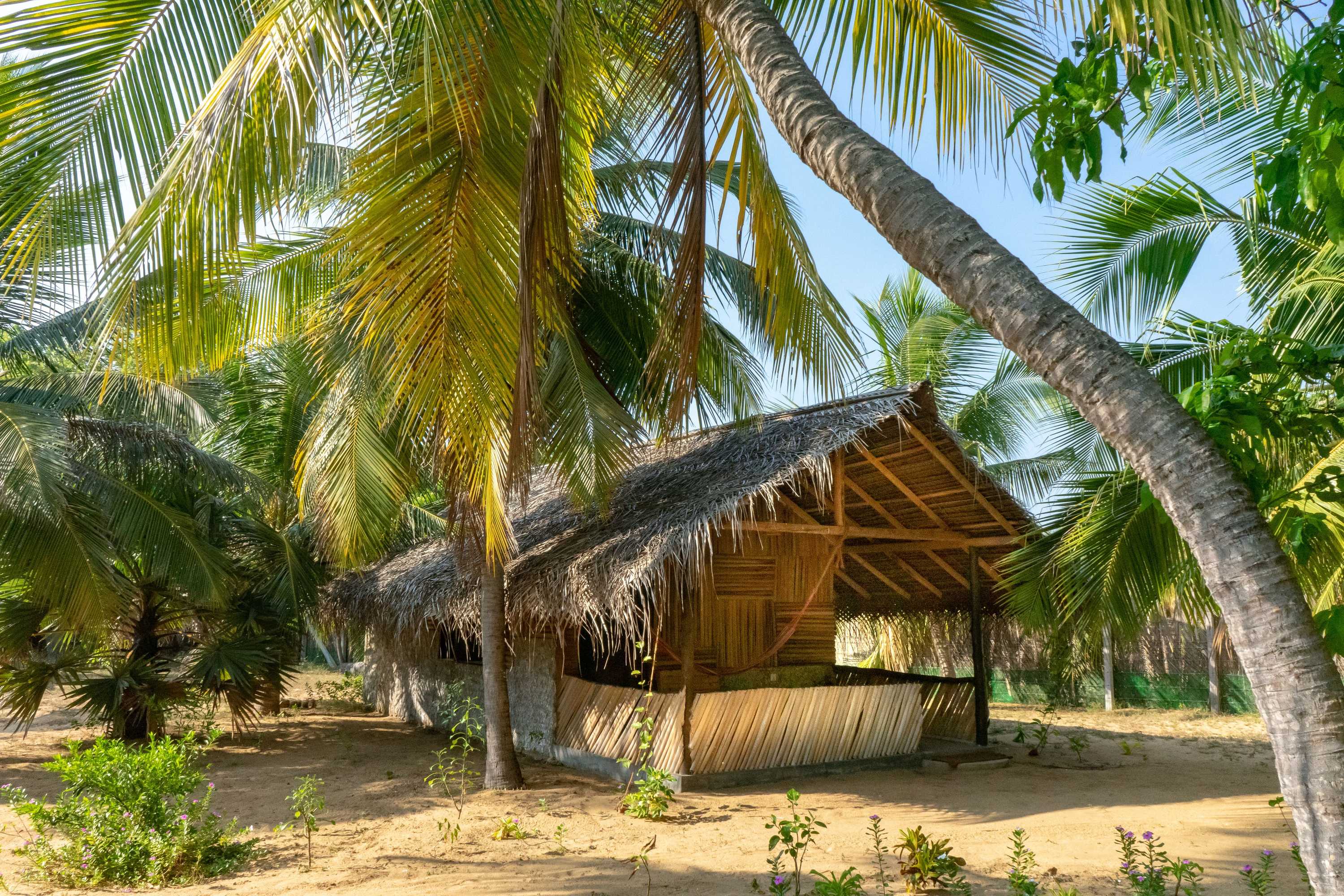 Gift card for Valampuri Kite Resort Gift card for Valampuri Kite Resort