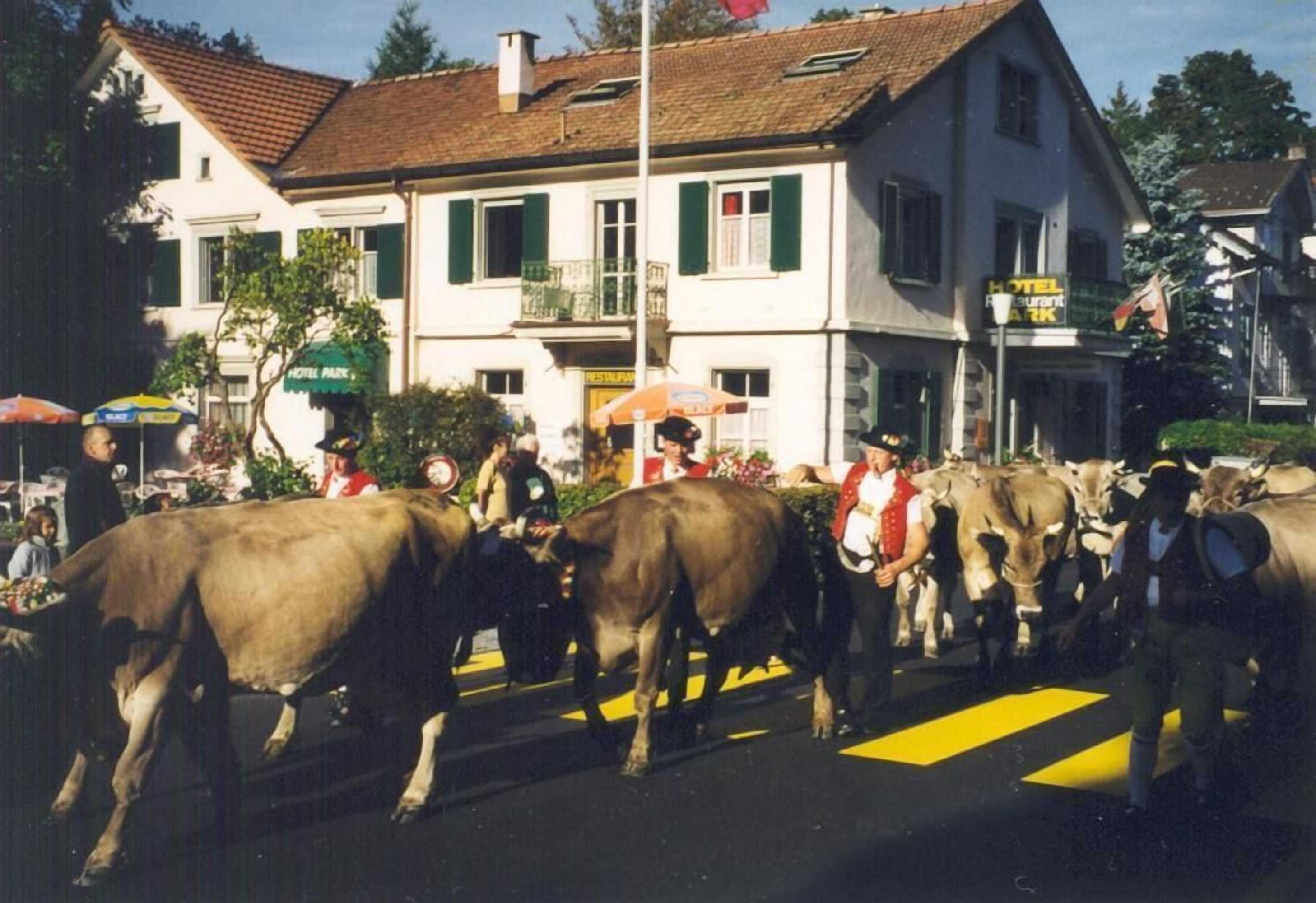 Gift card for Hotel Park