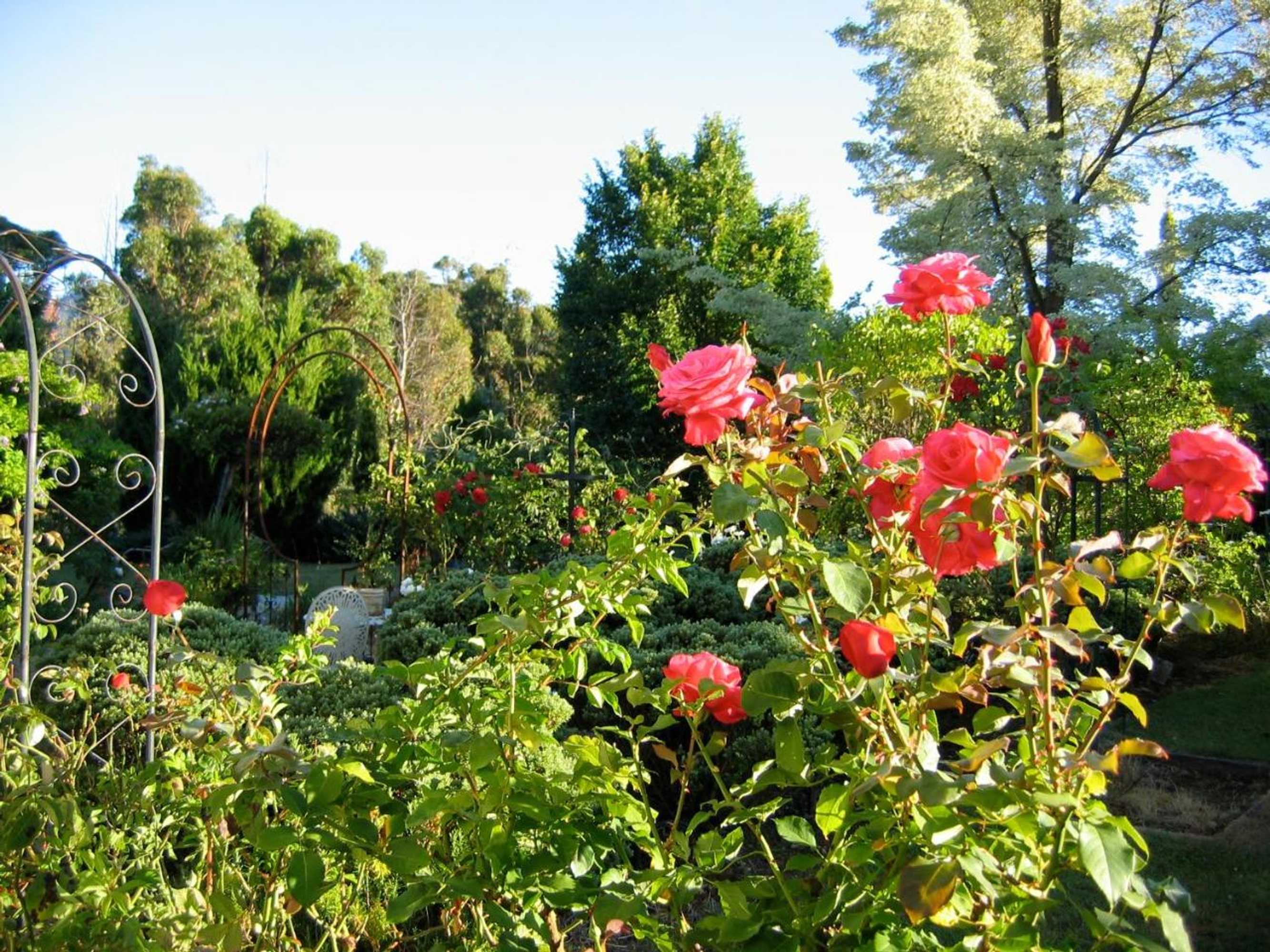 Gift card for Crabtree House