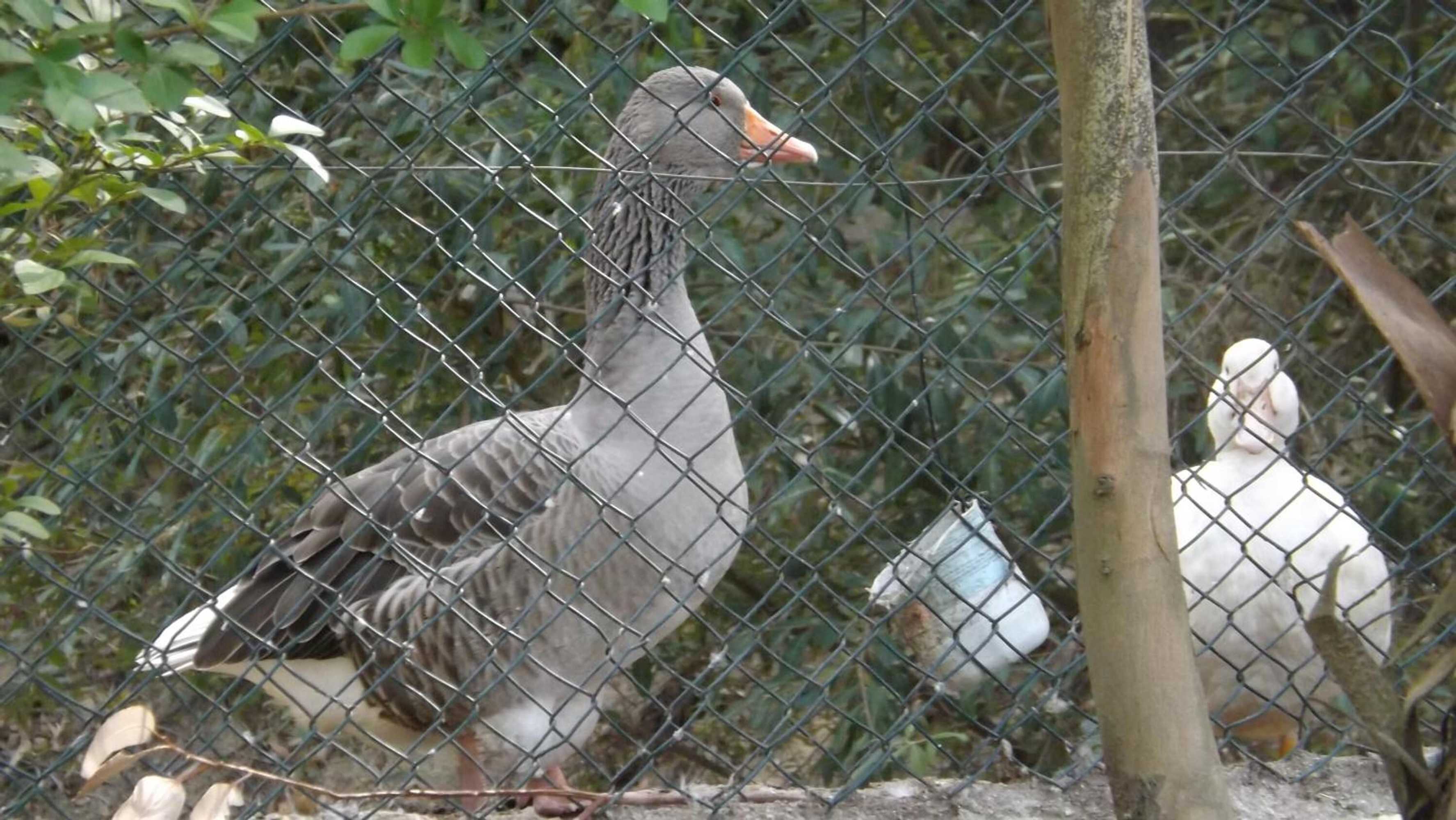 Gift card for Quinta Sul America