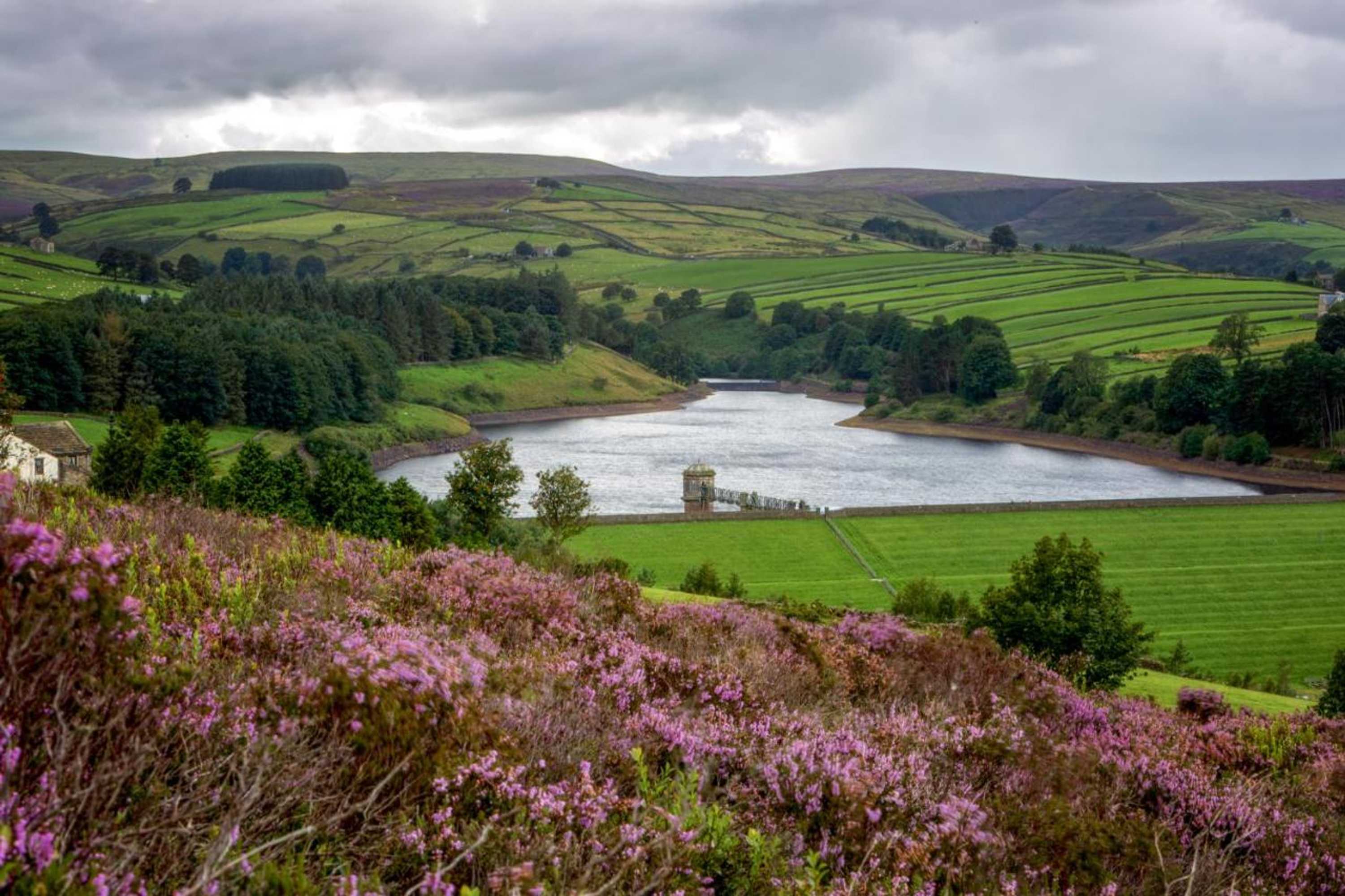 Gift card for Mulberry Cottage