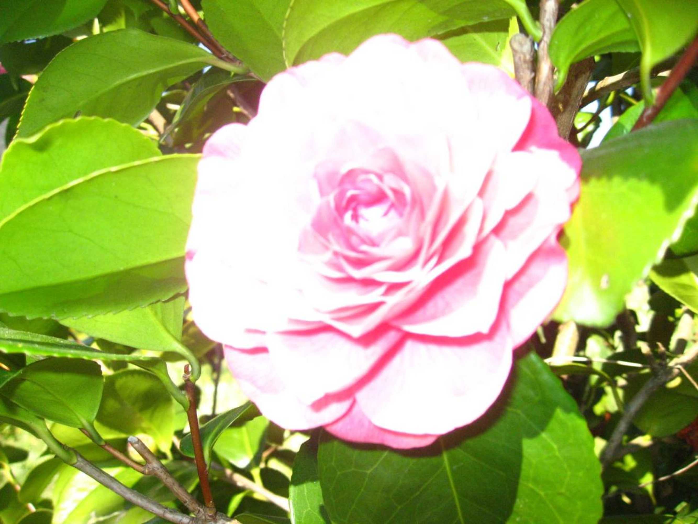 Gift card for Casa De Carcavelos Gift card for Casa De Carcavelos